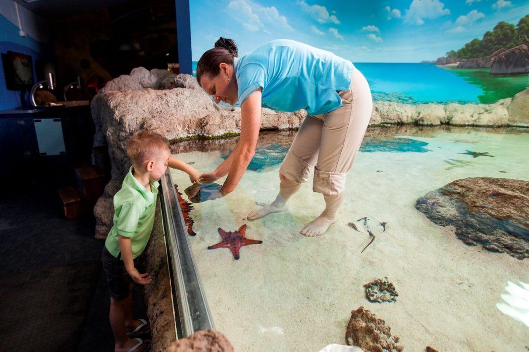 Reef HQ Townsville | Townsville locals guide