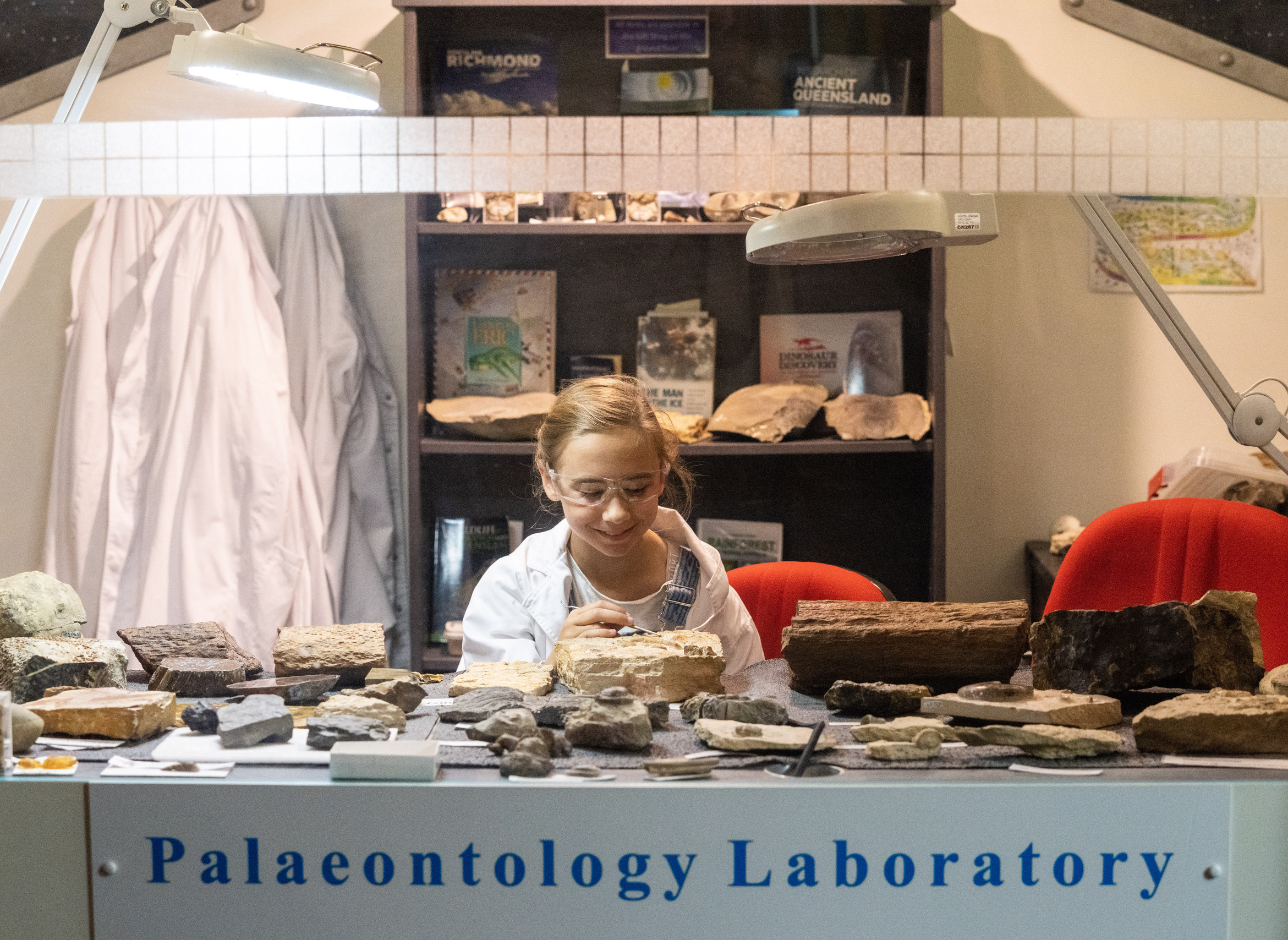 Palaeontology Library at Museum of Tropical Queensland | school holiday activities Townsville Palaeontology Library at Museum of Tropical Queensland | school holiday activities Townsville