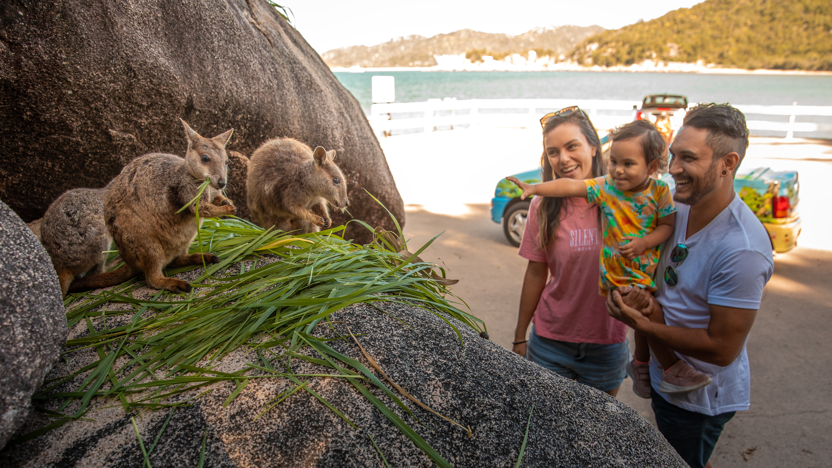 Family looking at Rock Wallabies at Geoffrey Bay