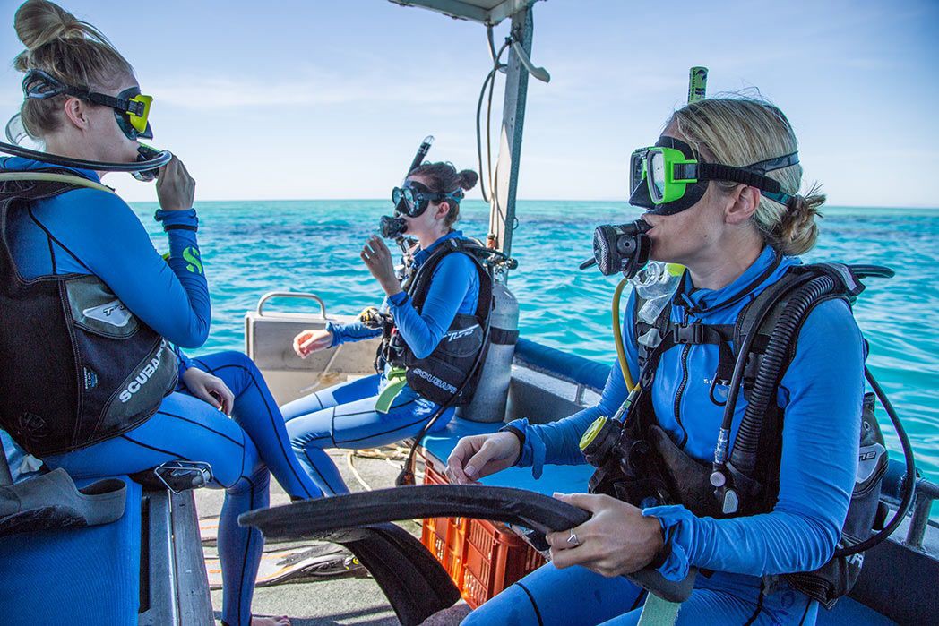 Adrenalin Snorkel and Dive | PADI certification Great Barrier Reef Adrenalin Snorkel and Dive | PADI certification Great Barrier Reef