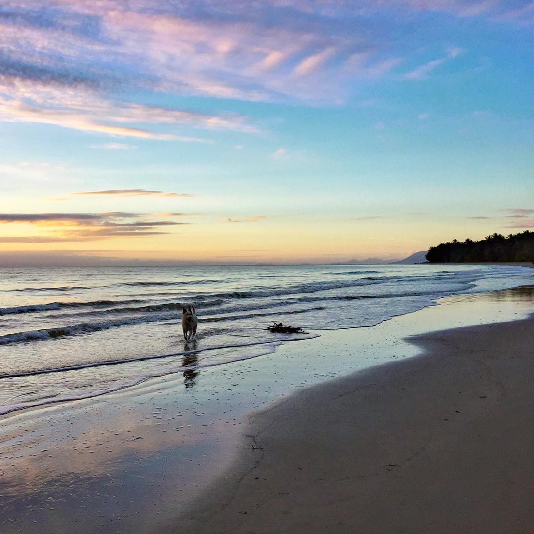 Four Mile Beach Port Douglas | Pet-friendly guide to Cairns & Great Barrier Reef Four Mile Beach Port Douglas | Pet-friendly guide to Cairns & Great Barrier Reef