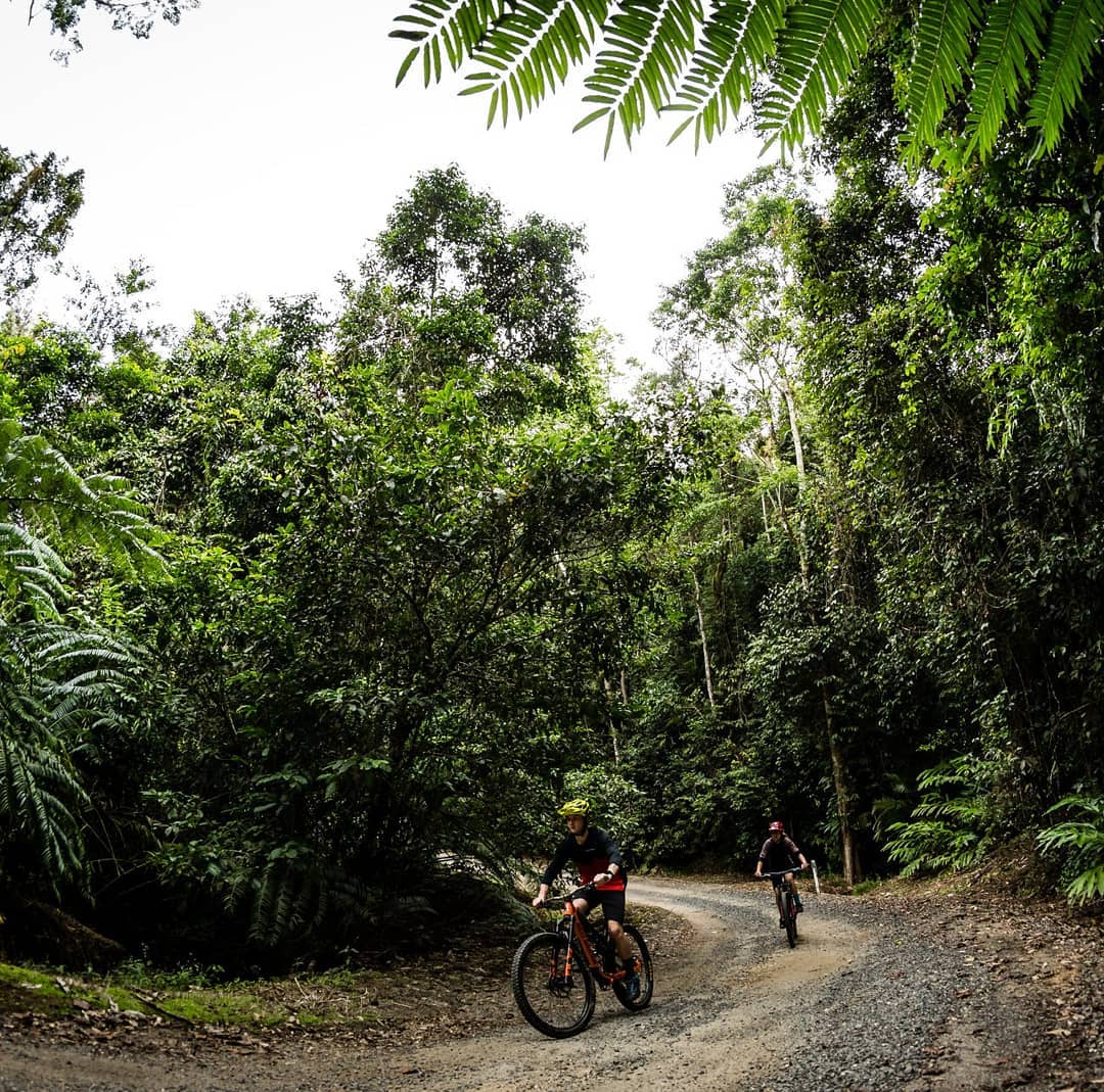 Mountain biking | Cardwell things to do Mountain biking | Cardwell things to do
