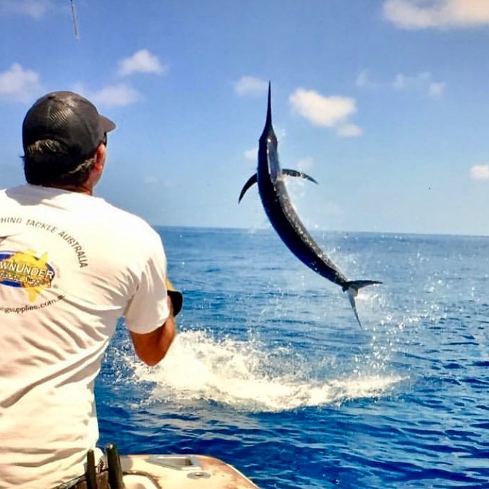 Marlin Fishing in Queensland: Best Places to Catch Them | Queensland