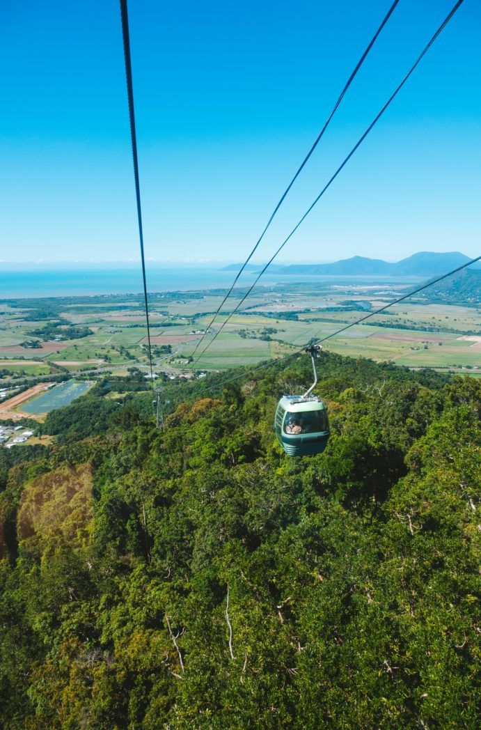Skyrail Rainforest Cableway | things to do in Cairns when it rains Skyrail Rainforest Cableway | things to do in Cairns when it rains