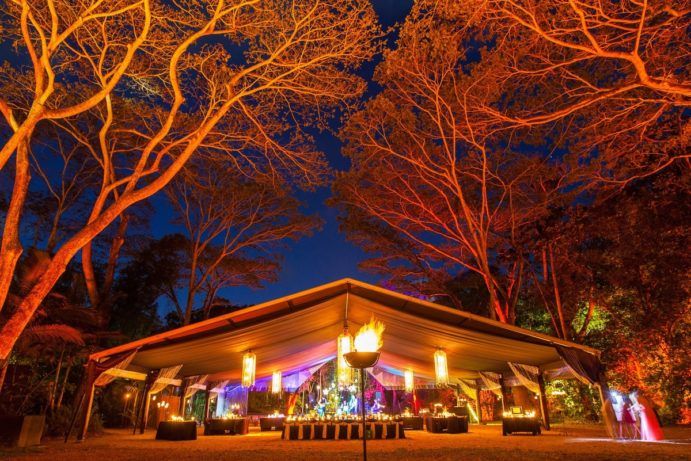 Flames of the Forest | Cairns nightlife Flames of the Forest | Cairns nightlife