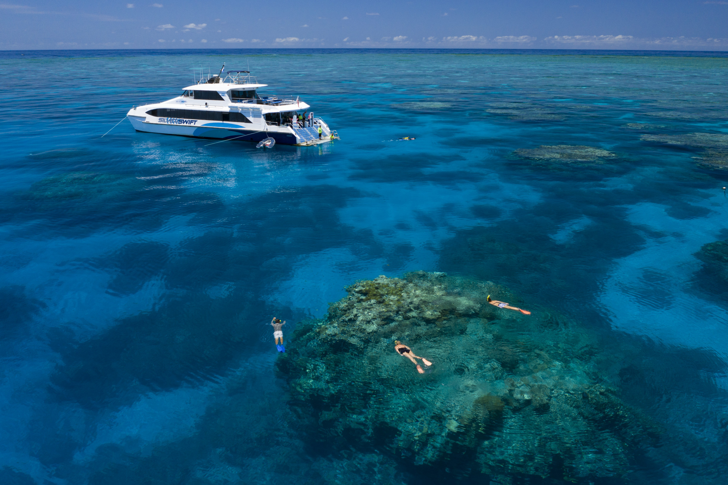 Silverswift (Quicksilver) Great Barrier Reef cruise | Things to do with kids in Port Douglas Silverswift (Quicksilver) Great Barrier Reef cruise | Things to do with kids in Port Douglas