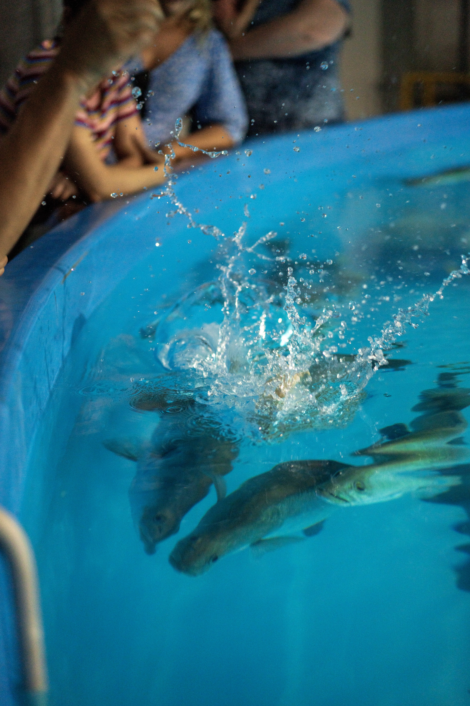 Les Wilson Barramundi Discovery Centre | Karumba Queensland’s best secret fishing spot Les Wilson Barramundi Discovery Centre | Karumba Queensland’s best secret fishing spot