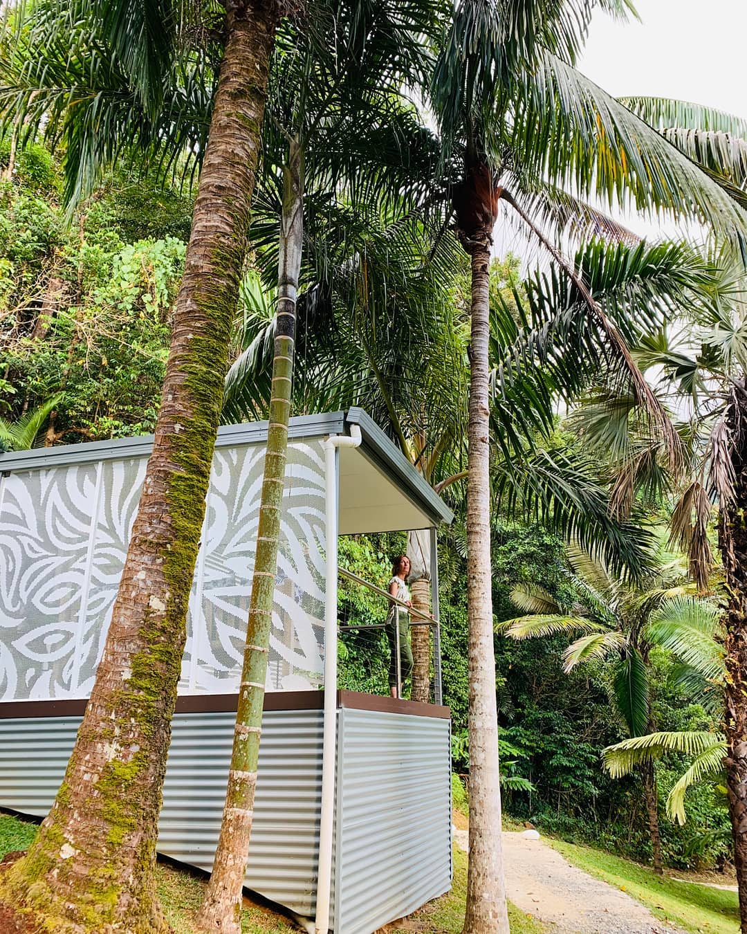 Mist Cape Tribulation | off-grid accommodation Queensland Mist Cape Tribulation | off-grid accommodation Queensland