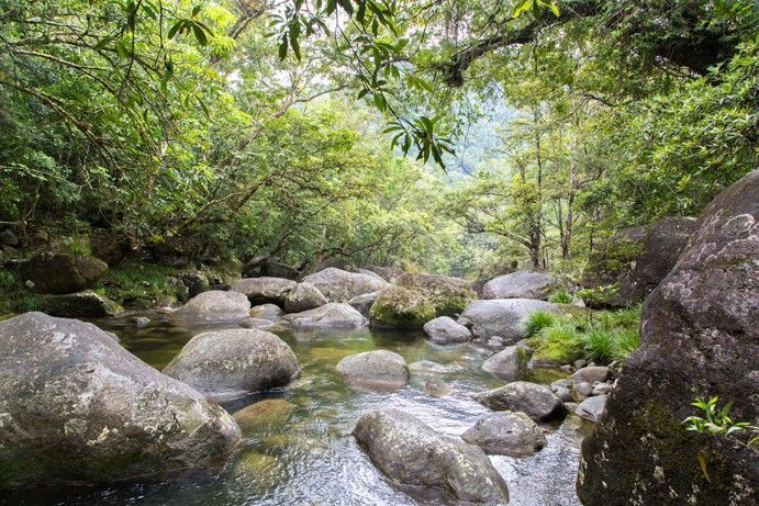 Mossman Gorge | Freshwater swimming spots near Cairns Mossman Gorge | Freshwater swimming spots near Cairns