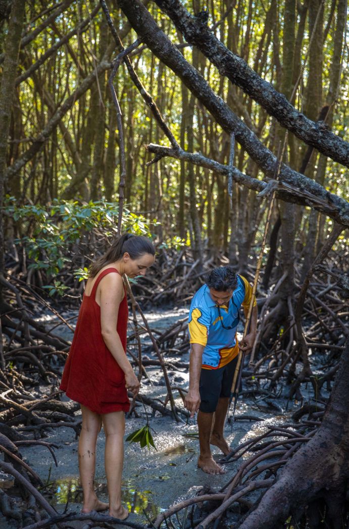 Walkabout Cultural Adventures | transformational Queensland experiences Walkabout Cultural Adventures | transformational Queensland experiences