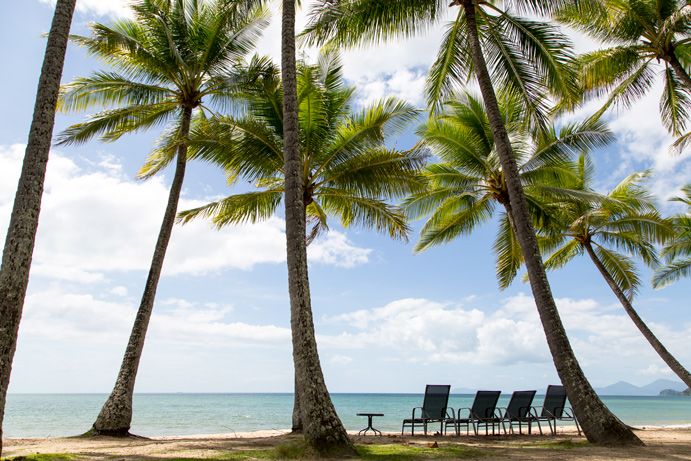 Palm Cove, Tropical North Queensland | pet friendly camping cairns Palm Cove, Tropical North Queensland | pet friendly camping cairns