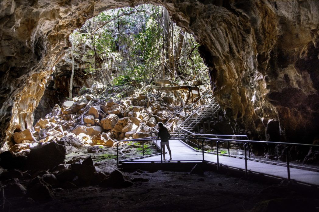 Undara Volcanic National Park | natural wonders Queensland Undara Volcanic National Park | natural wonders Queensland