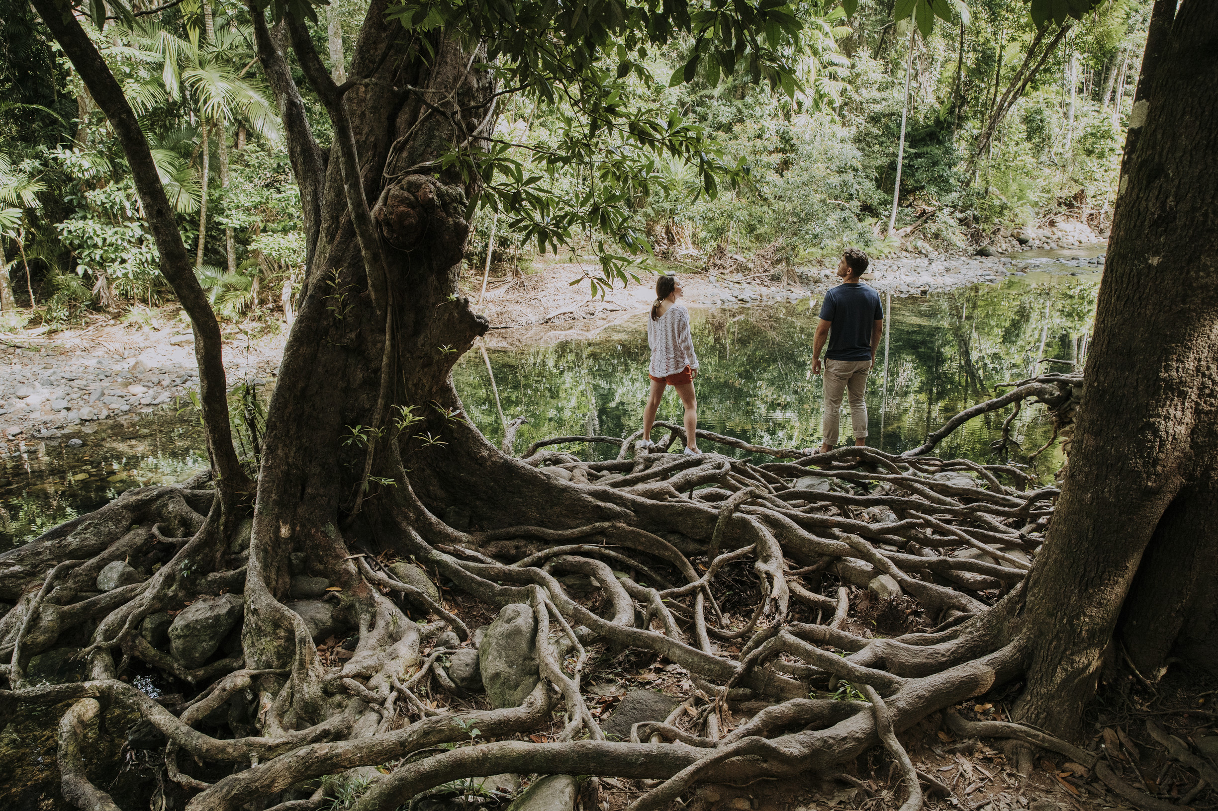 Emmagen Creek | Daintree Rainforest Australia facts Emmagen Creek | Daintree Rainforest Australia facts