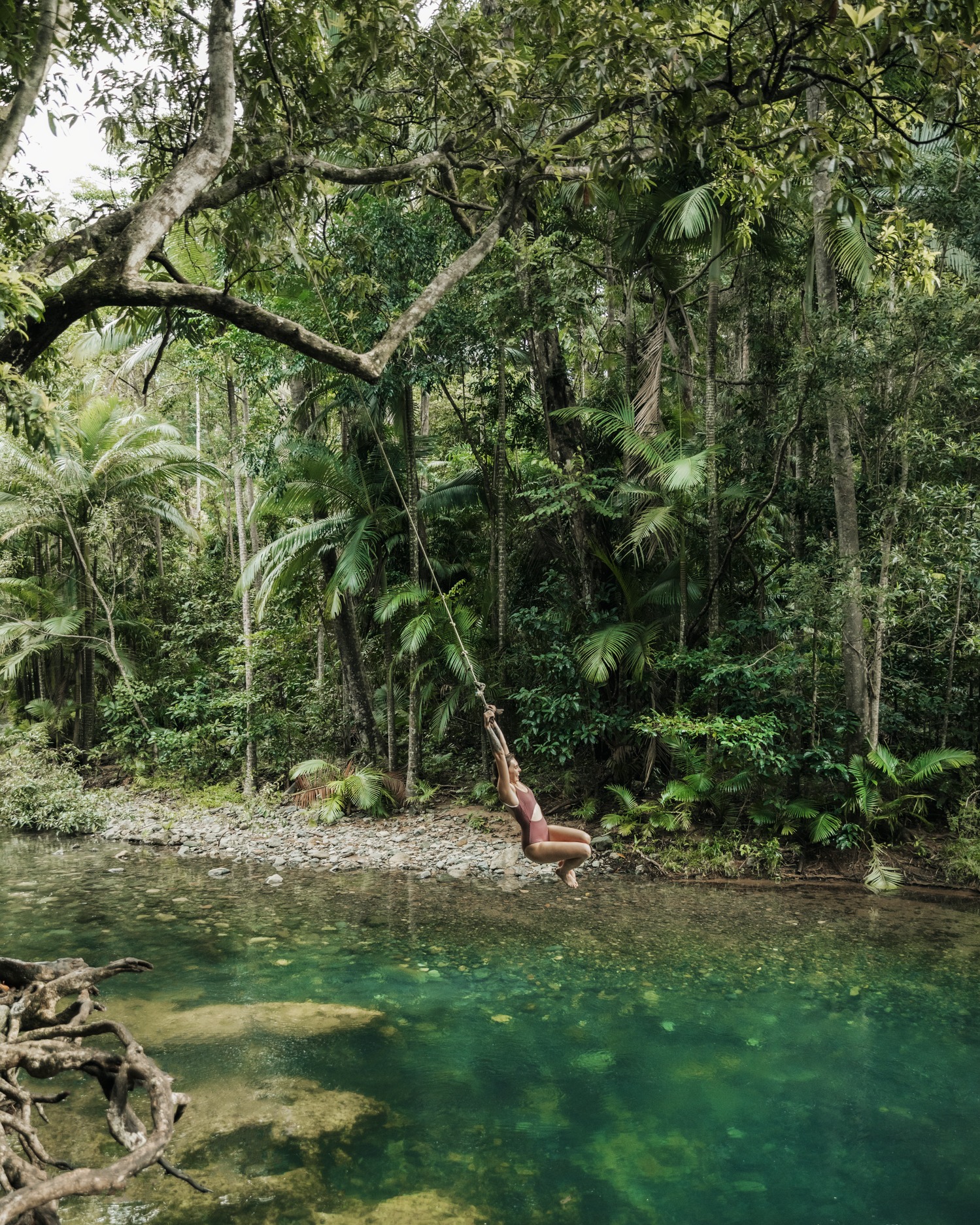 woman swings on a rope swing into a creek surrounded by thick rainforest