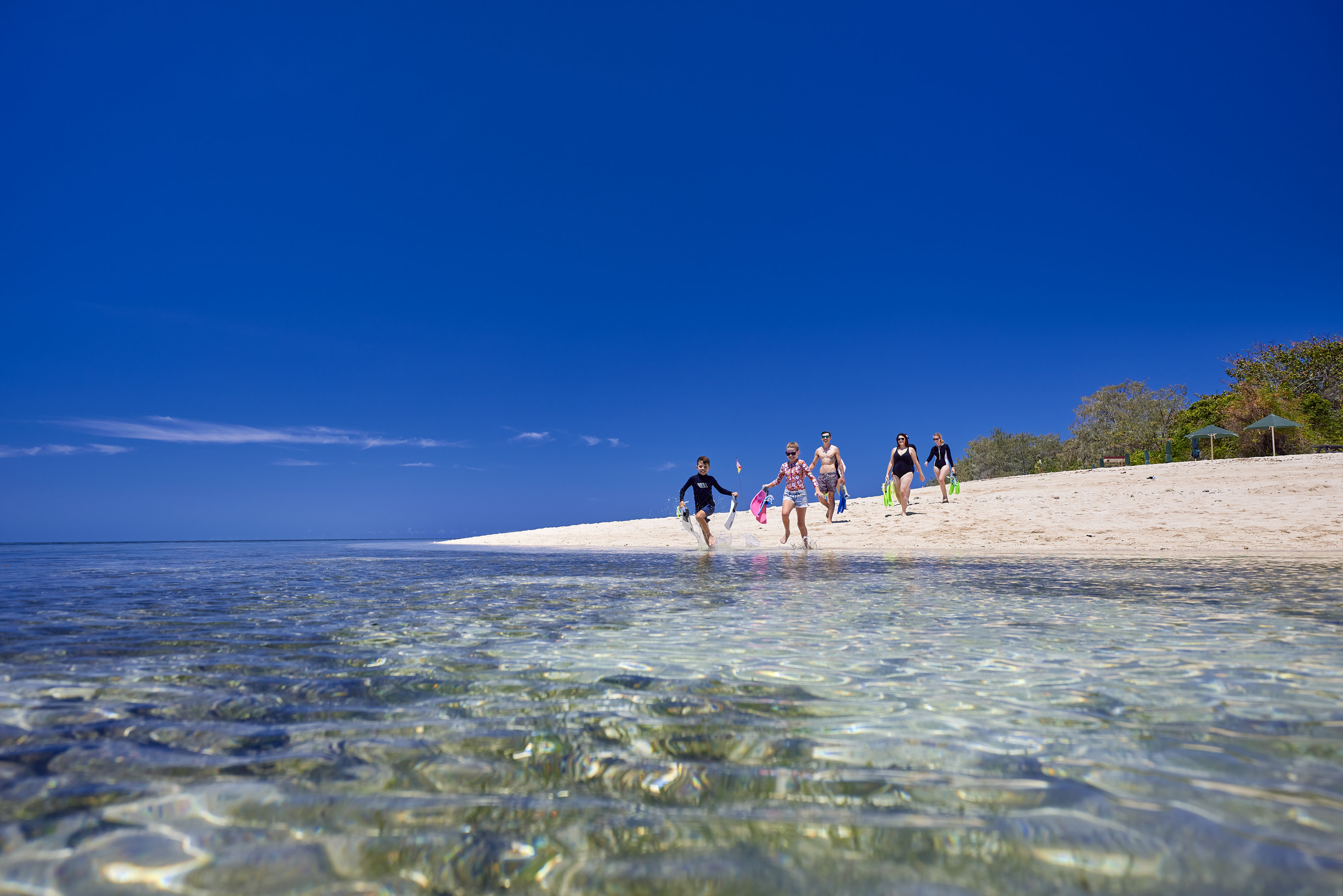 Big Cat Green Island Cruises | How to explore the Great Barrier Reef in a day Big Cat Green Island Cruises | How to explore the Great Barrier Reef in a day