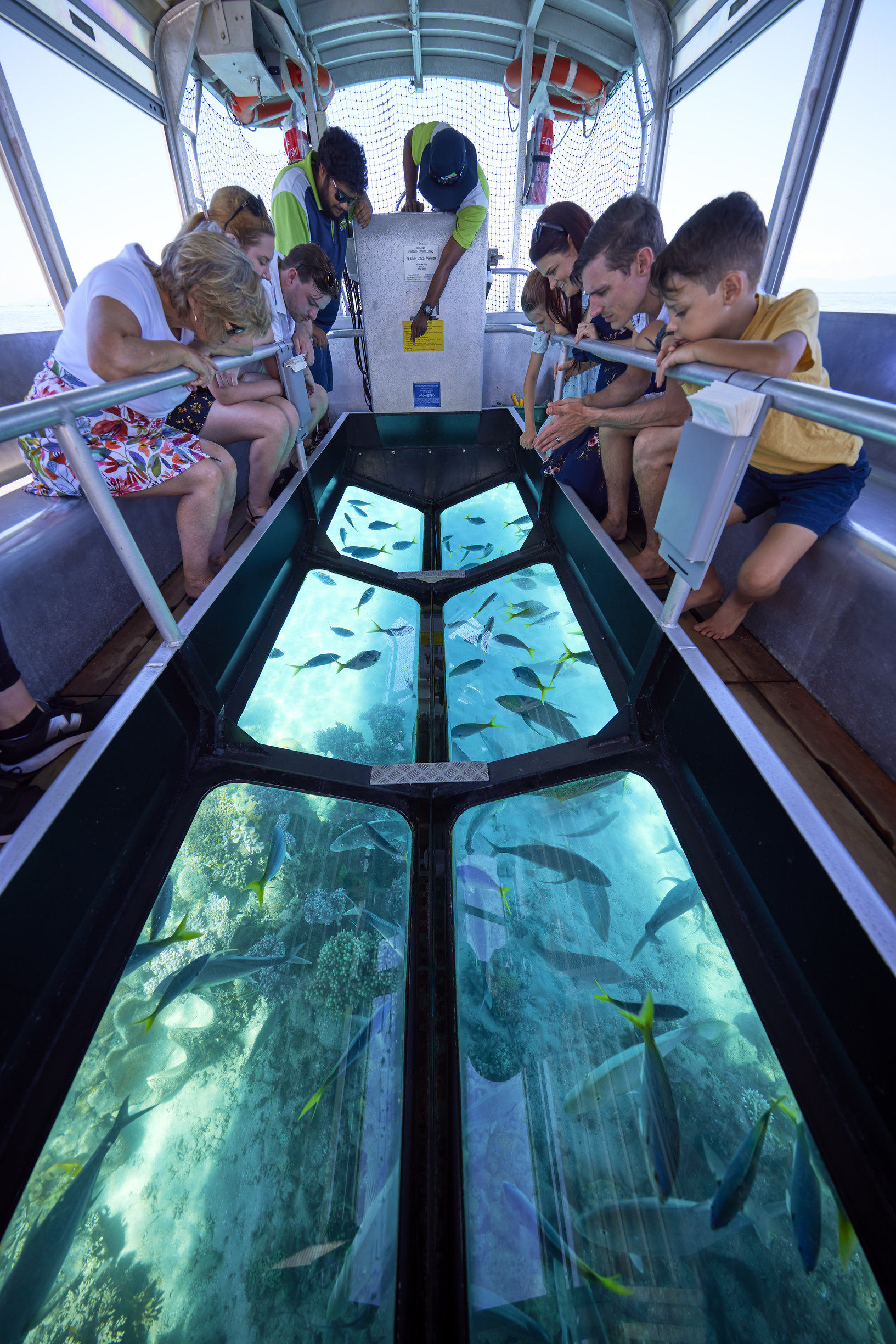 Guests looking down at fish on the glass bottom boat tour with Big Cat Green Island Cruises