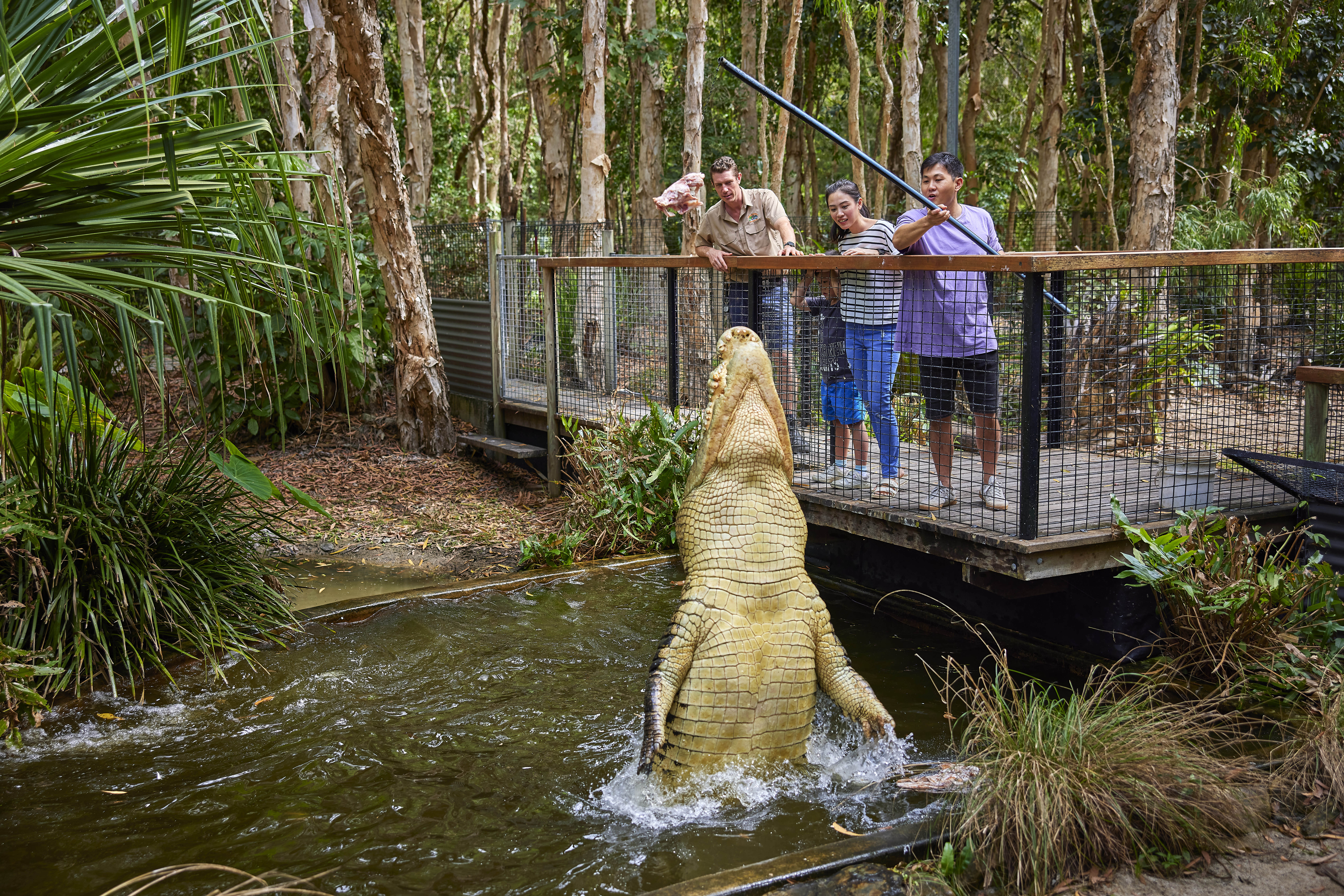 Ranger and a couple pole feeding a crocodile, for the Big Crocodile Feed Ranger and a couple pole feeding a crocodile, for the Big Crocodile Feed