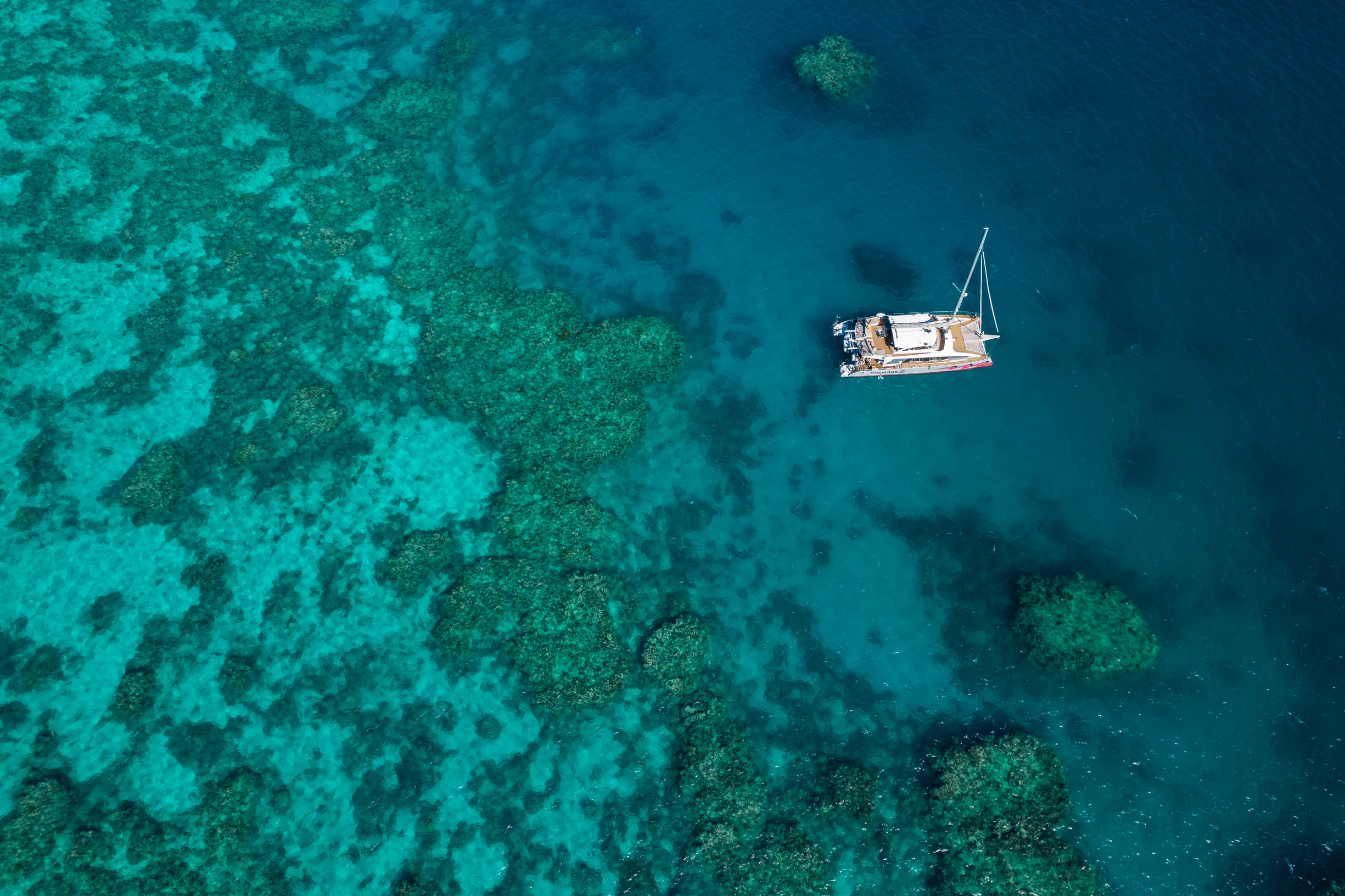 Aerial shot of a Reef Cruise at Hastings Reef, Passions of Paradise | World Heritage sites Cairns Aerial shot of a Reef Cruise at Hastings Reef, Passions of Paradise | World Heritage sites Cairns