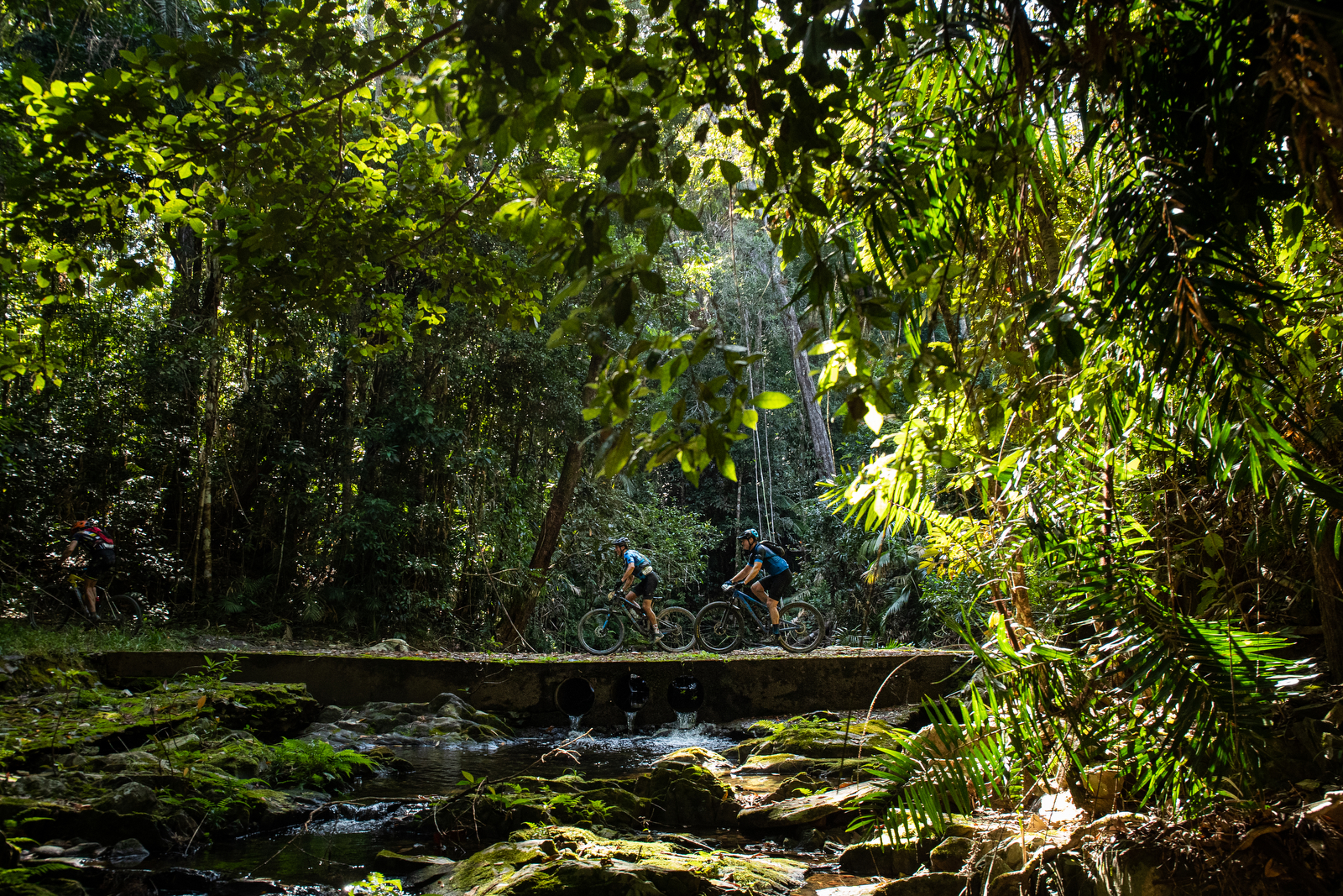 Reef 2 Reef MTB | adventure things to do Cairns Reef 2 Reef MTB | adventure things to do Cairns