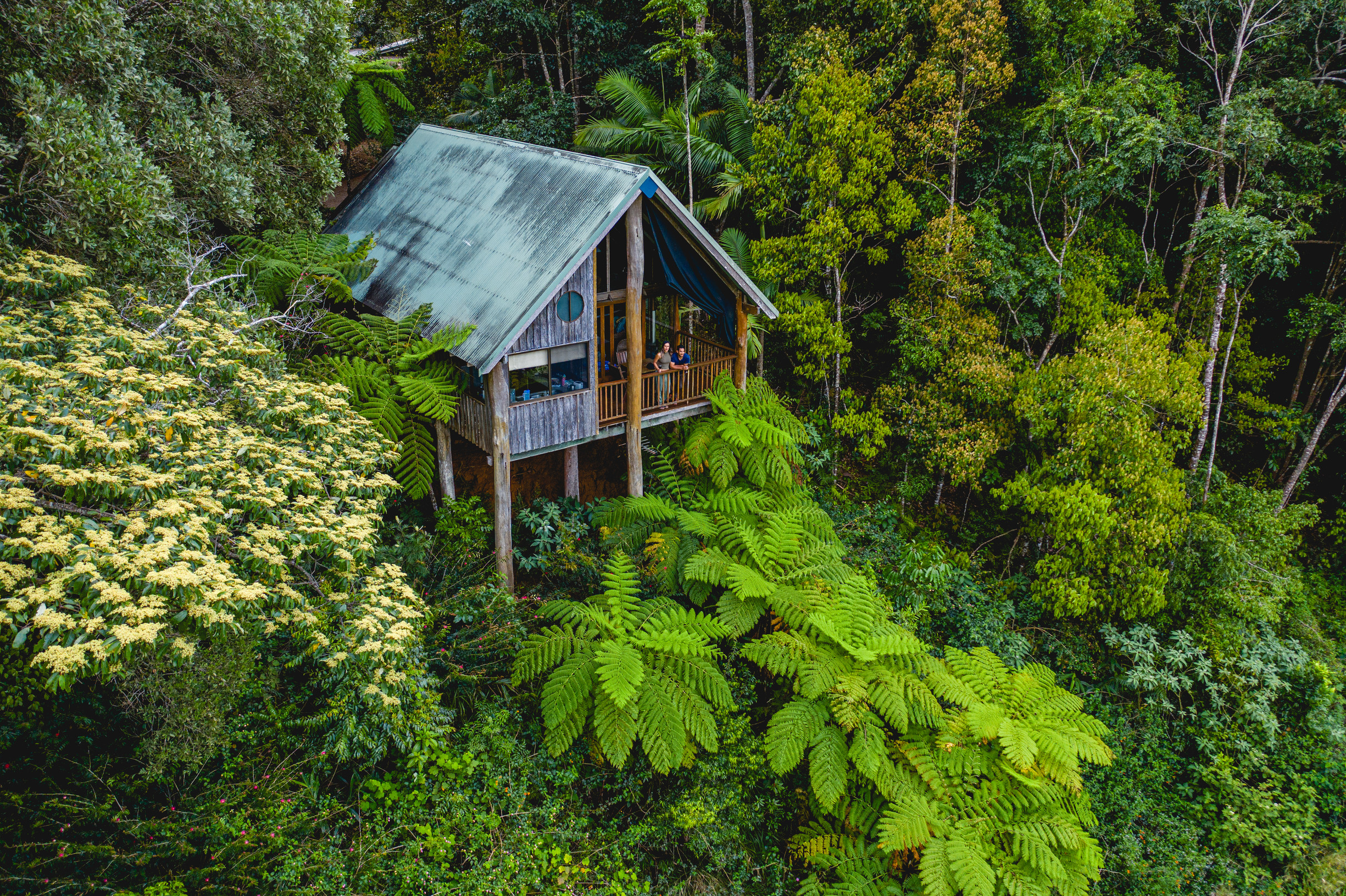 Rose Gums Wilderness Retreat | treehouses for rent queensland Rose Gums Wilderness Retreat | treehouses for rent queensland