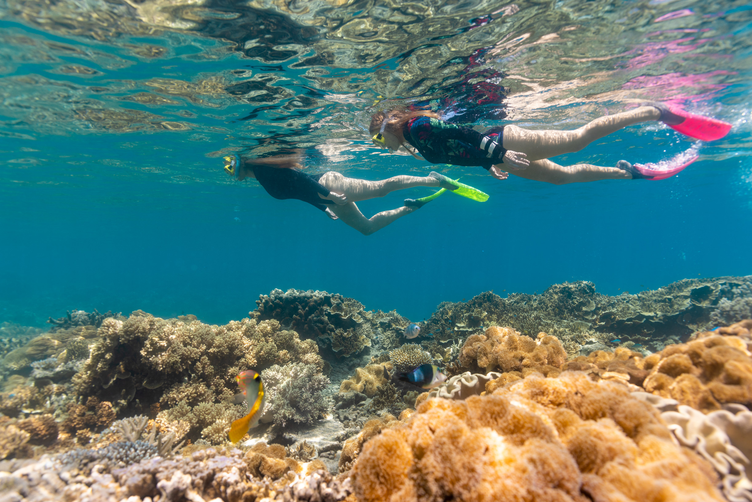 Two people snorkelling on Moore Reef with Sunlover Reef Cruises | things to do school holidays Cairns Great Barrier Reef Two people snorkelling on Moore Reef with Sunlover Reef Cruises | things to do school holidays Cairns Great Barrier Reef