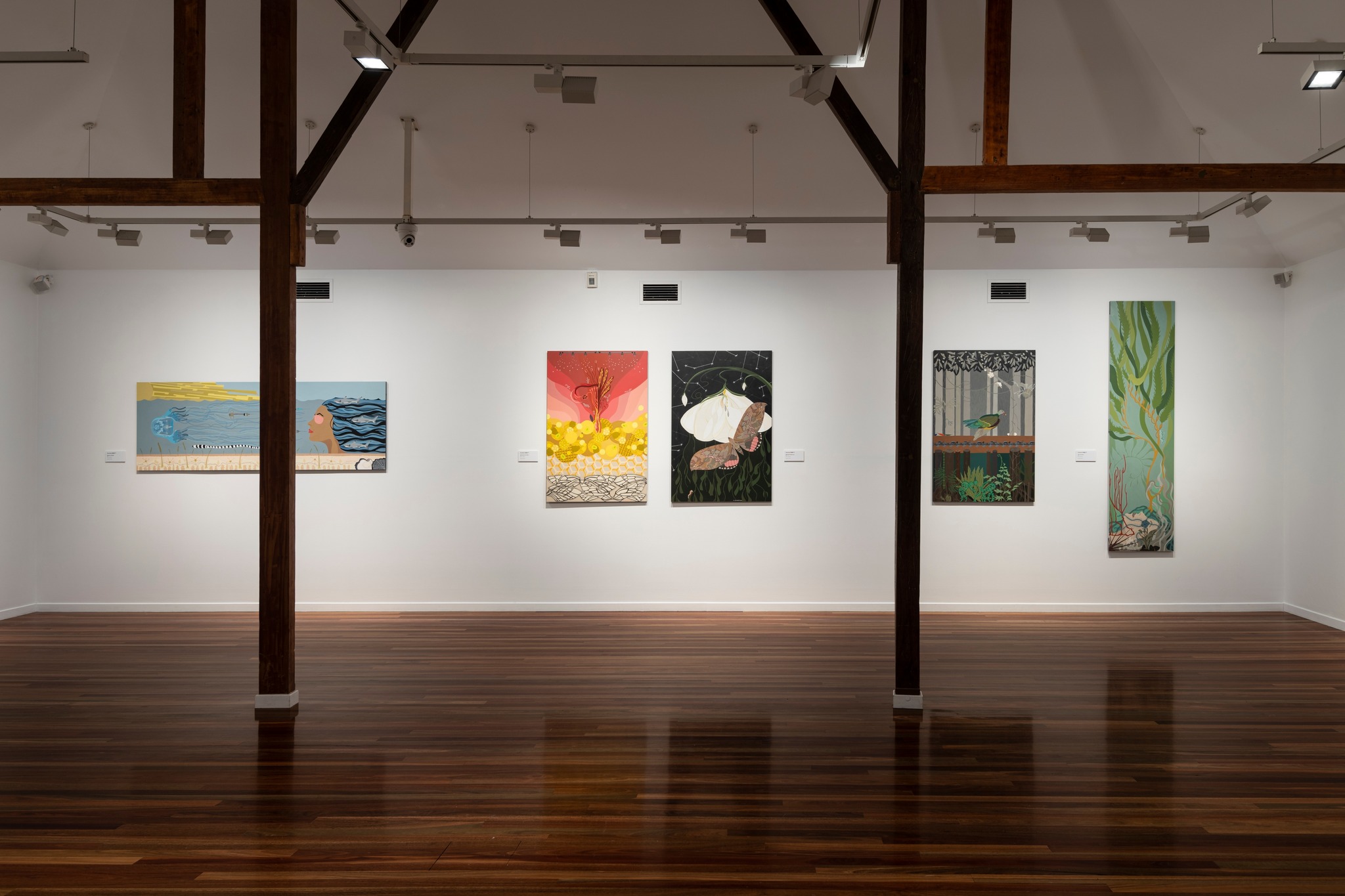 Cairns Art Gallery | Aboriginal art galleries Cairns