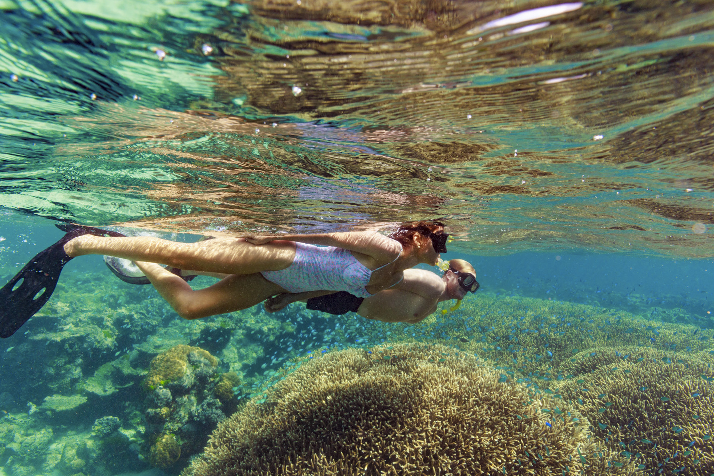 Quicksilver Pro Dive Cairns Quicksilver Pro Dive Cairns