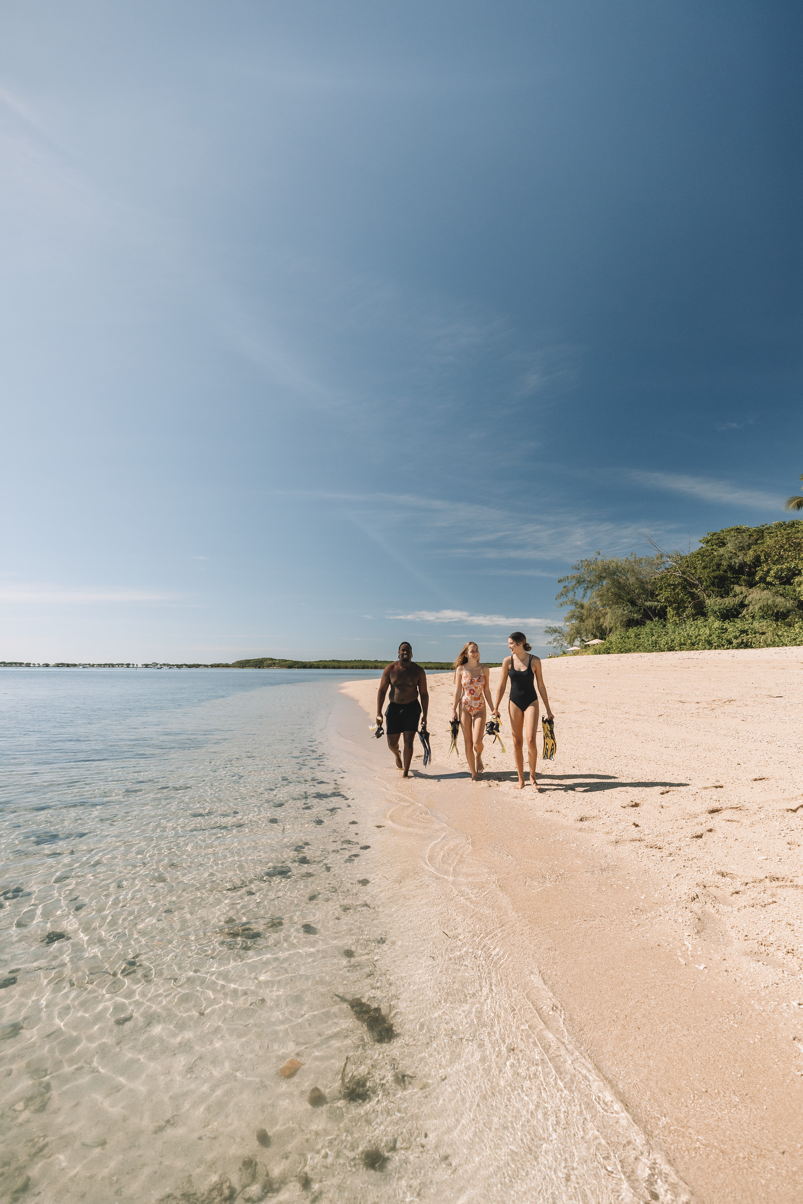Low Isles with Reef Sprinter | Great Barrier Reef tours Low Isles with Reef Sprinter | Great Barrier Reef tours