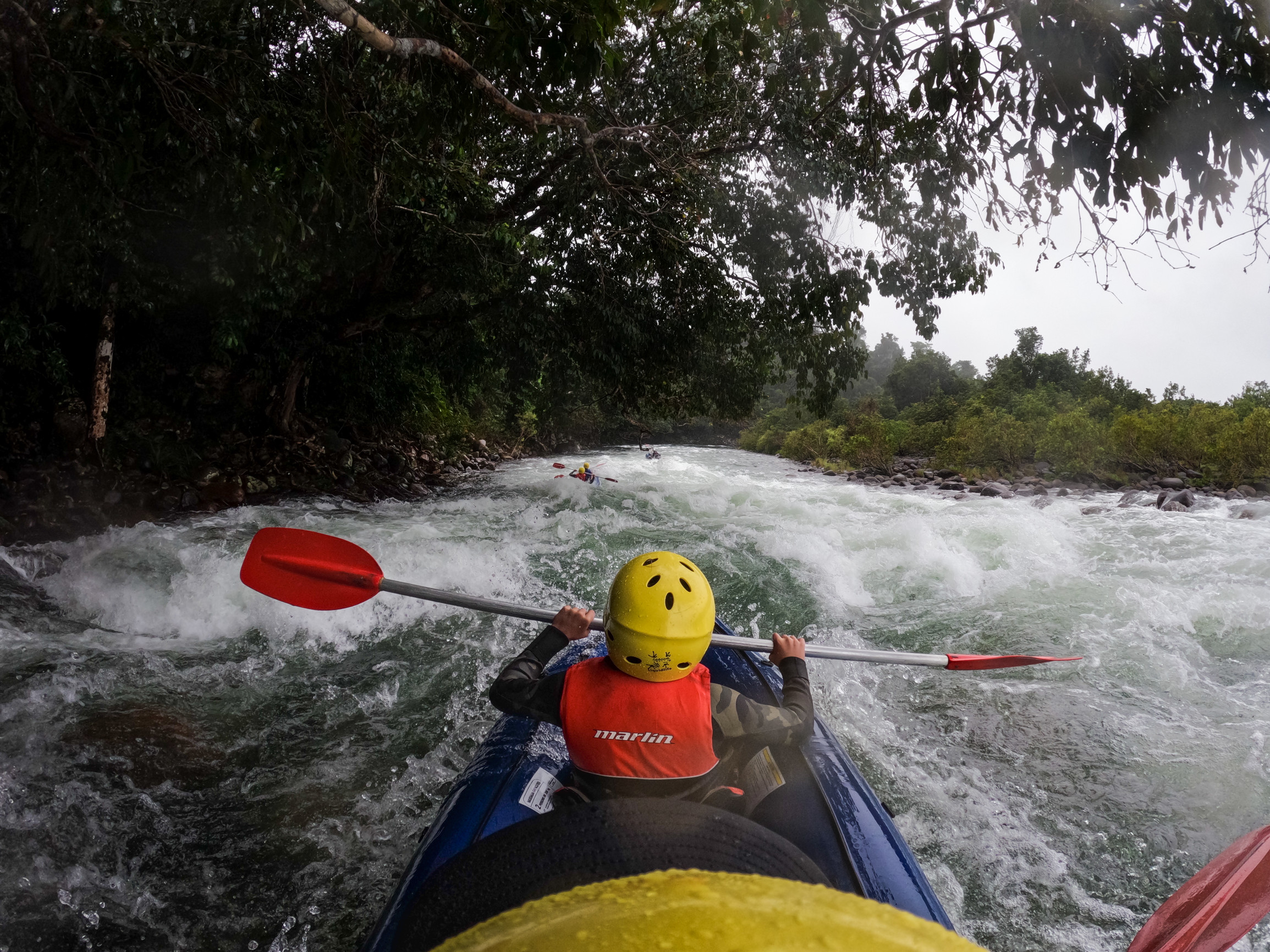 Tour group white water sports rafting down the Tully River with Wildside Adventures | Explore Wet Tropics with kids Tour group white water sports rafting down the Tully River with Wildside Adventures | Explore Wet Tropics with kids