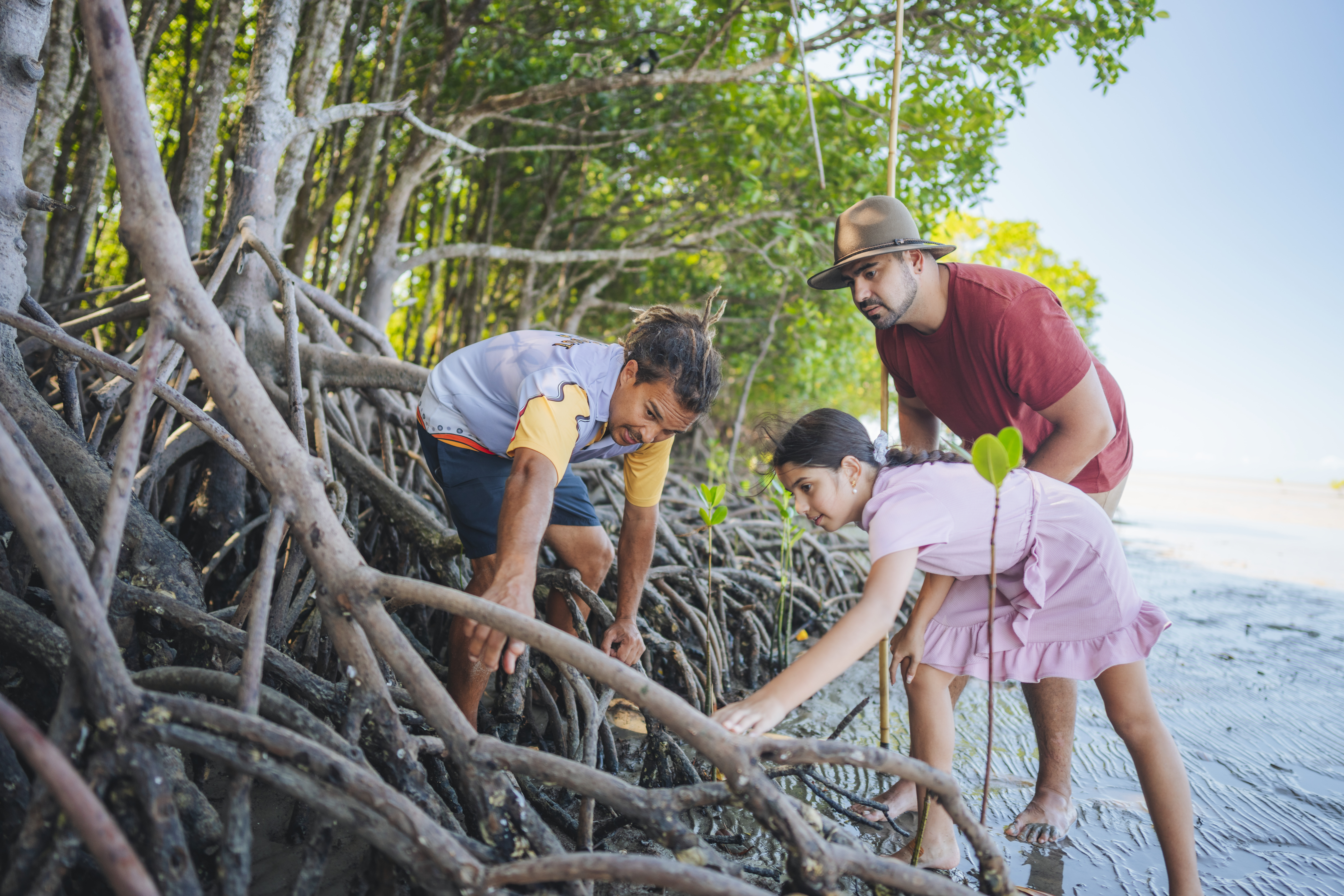 Young girl and father explore the mangroves with an Indigenous guide at Walkabout Cultural Adventures