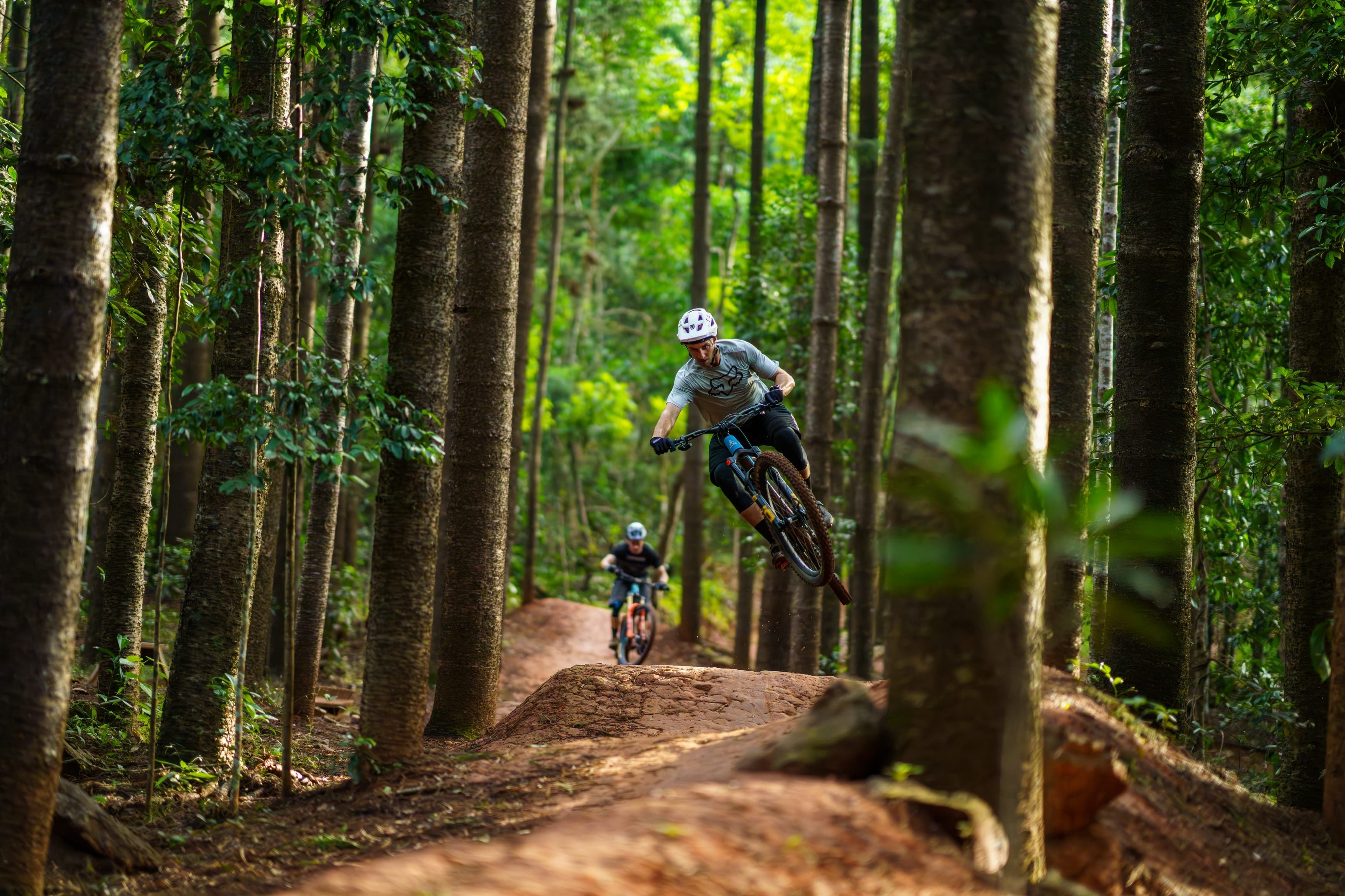 Mountain bike riders on rainforest trails at Smithfield Mountain Bike Park near Cairns