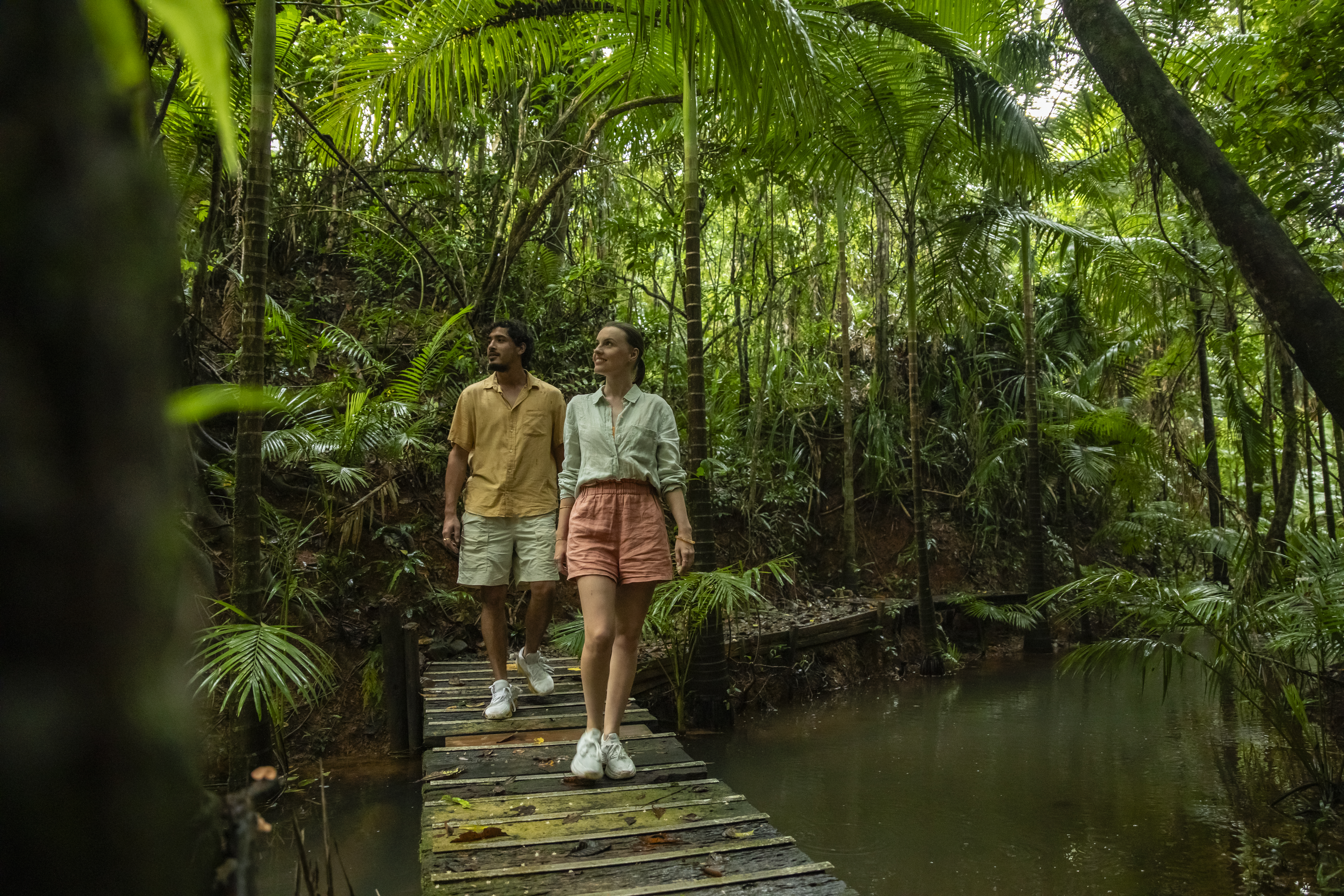 A couple walking along a boardwalk in the rainforest A couple walking along a boardwalk in the rainforest