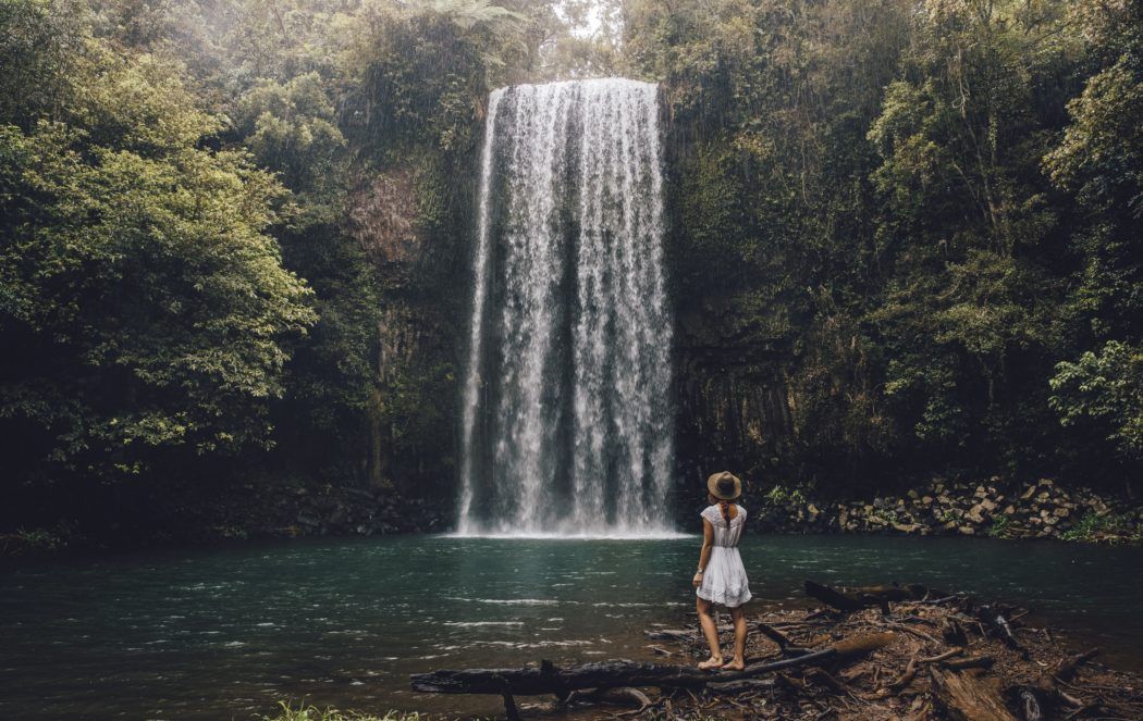 Tropical North Queensland, Millaa Millaa Falls Tropical North Queensland, Millaa Millaa Falls