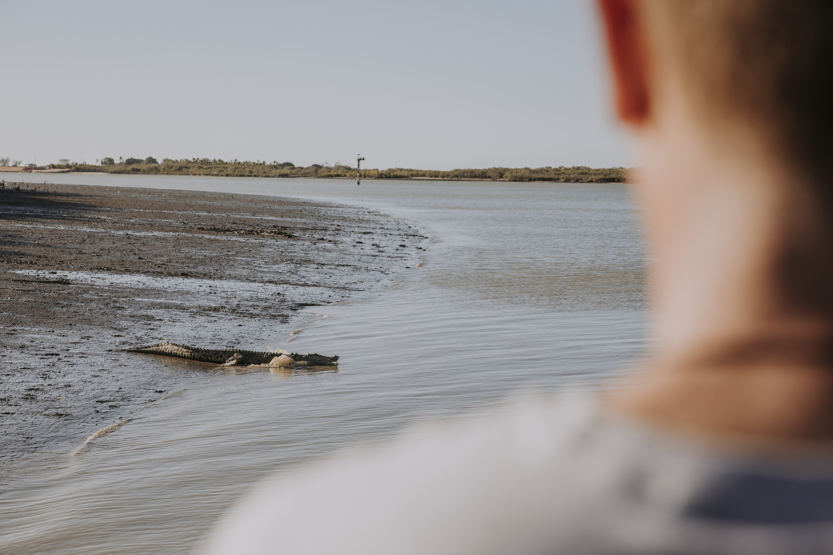 Sand Island Sunset Tour Croc and Crab Tours Karumba | Where to see wild animals Queensland Sand Island Sunset Tour Croc and Crab Tours Karumba | Where to see wild animals Queensland