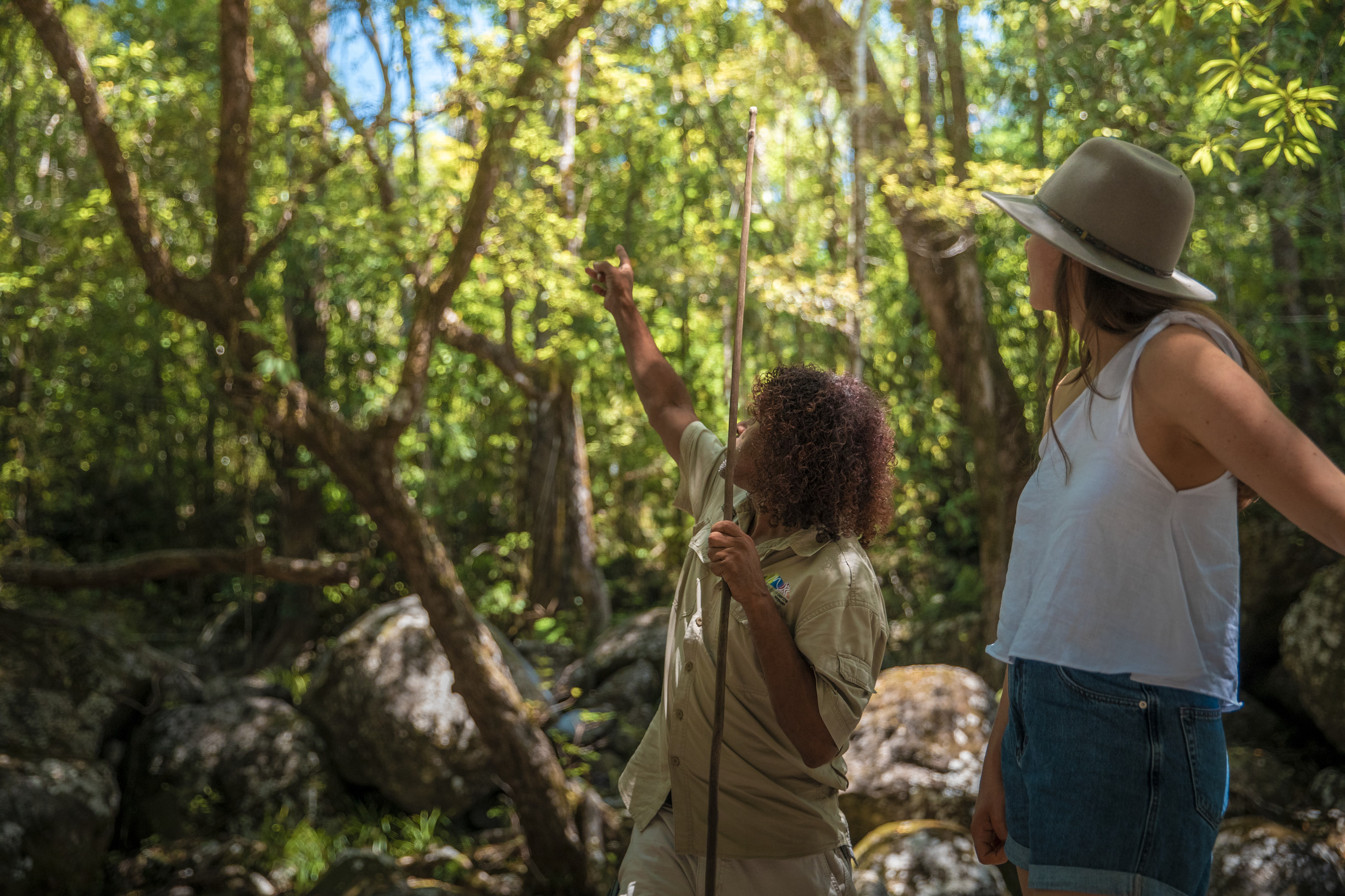 Mossman Gorge Centre, Dreamtime Gorge Walk - guided tour | 48 hours in Port Douglas Mossman Gorge Centre, Dreamtime Gorge Walk - guided tour | 48 hours in Port Douglas