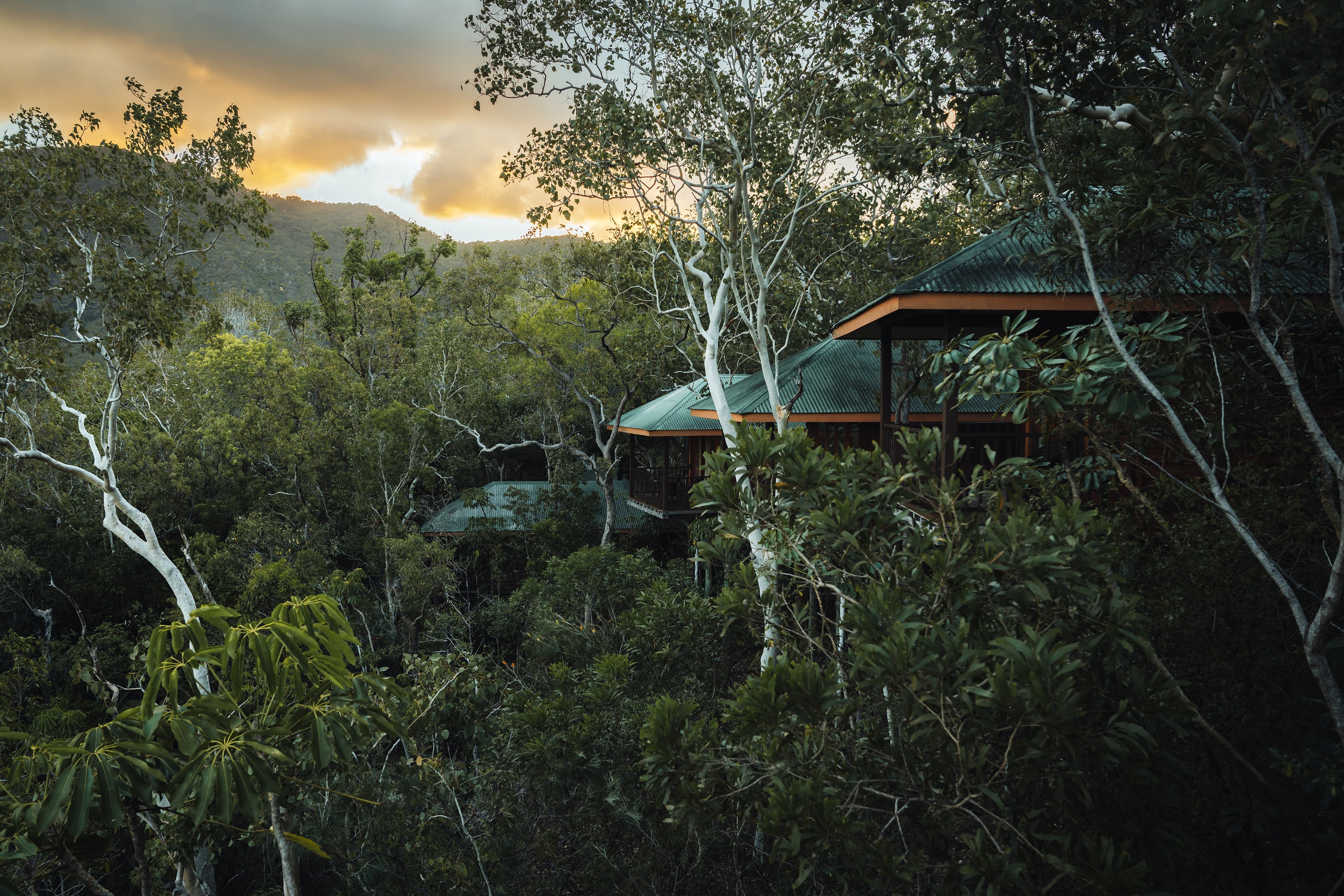 Thala Nature Beach Reserve near Port Douglas | World Heritage sites Cairns Thala Nature Beach Reserve near Port Douglas | World Heritage sites Cairns