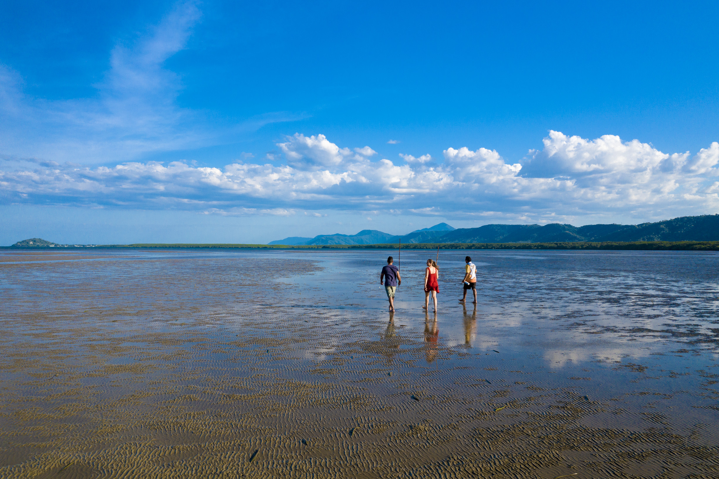 Walkabout Cultural Tours Daintree national park | family holidays Queensland Walkabout Cultural Tours Daintree national park | family holidays Queensland