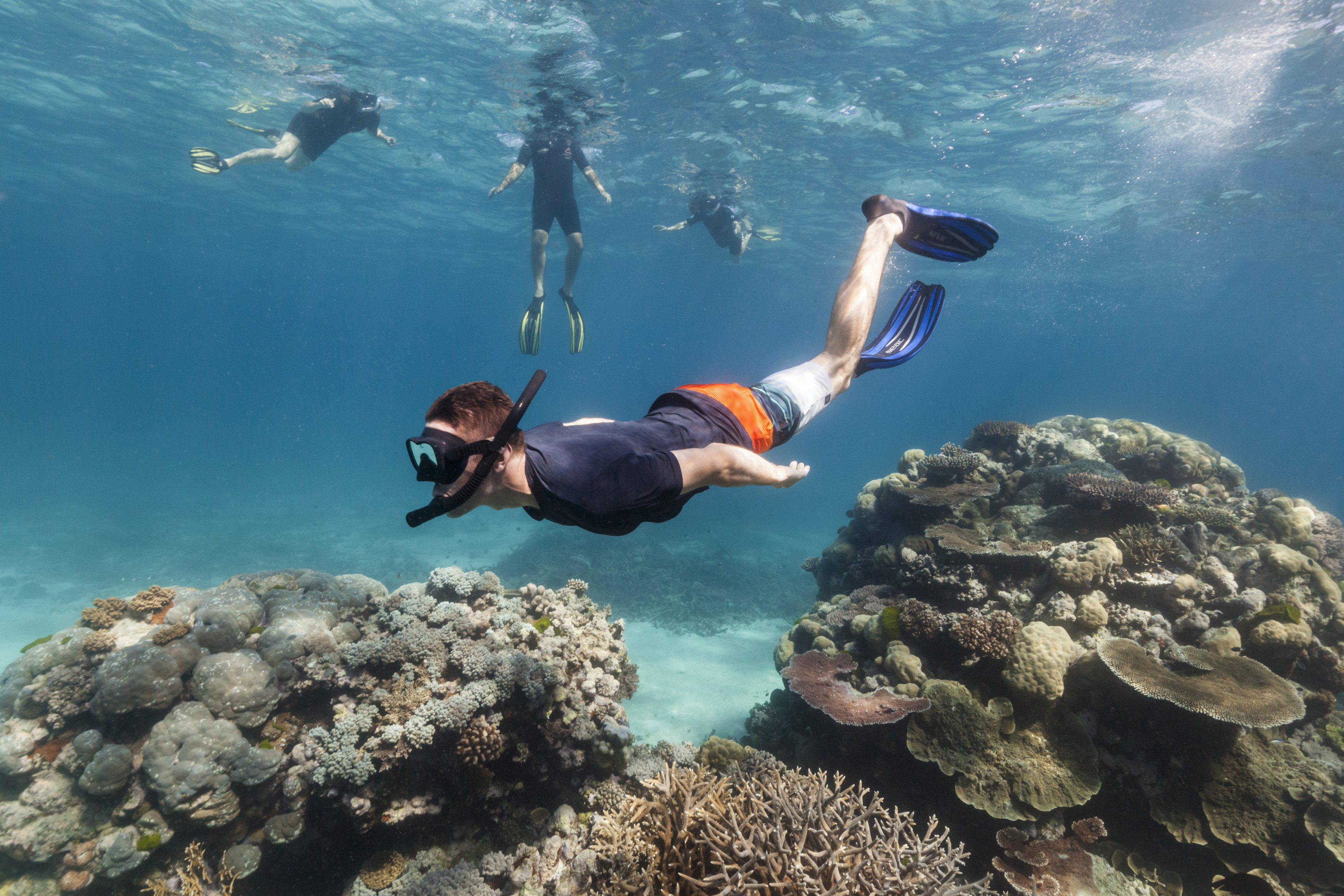 Snorkeller at Agincourt Reef with Calypso Reef Cruises Snorkeller at Agincourt Reef with Calypso Reef Cruises