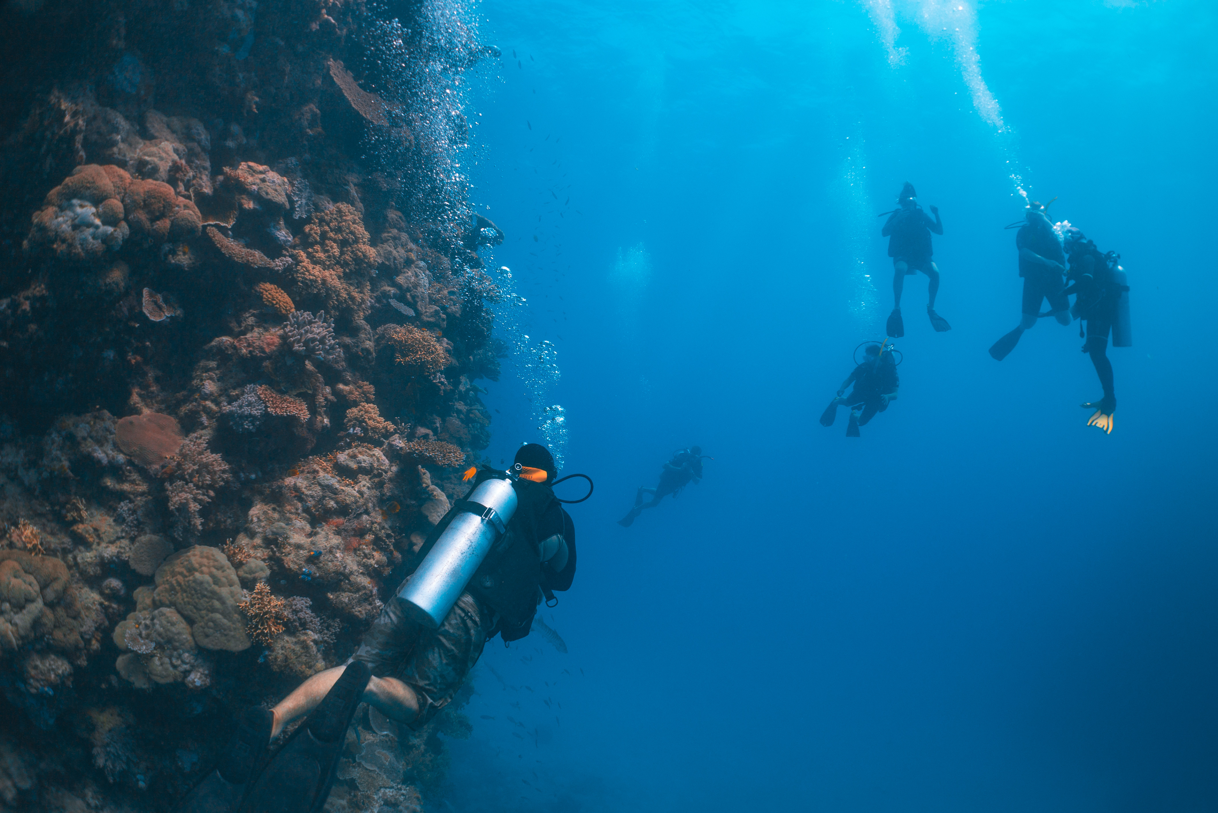 Diving Great Barrier Reef with Passions of Paradise | Must-do Queensland experiences for students Diving Great Barrier Reef with Passions of Paradise | Must-do Queensland experiences for students