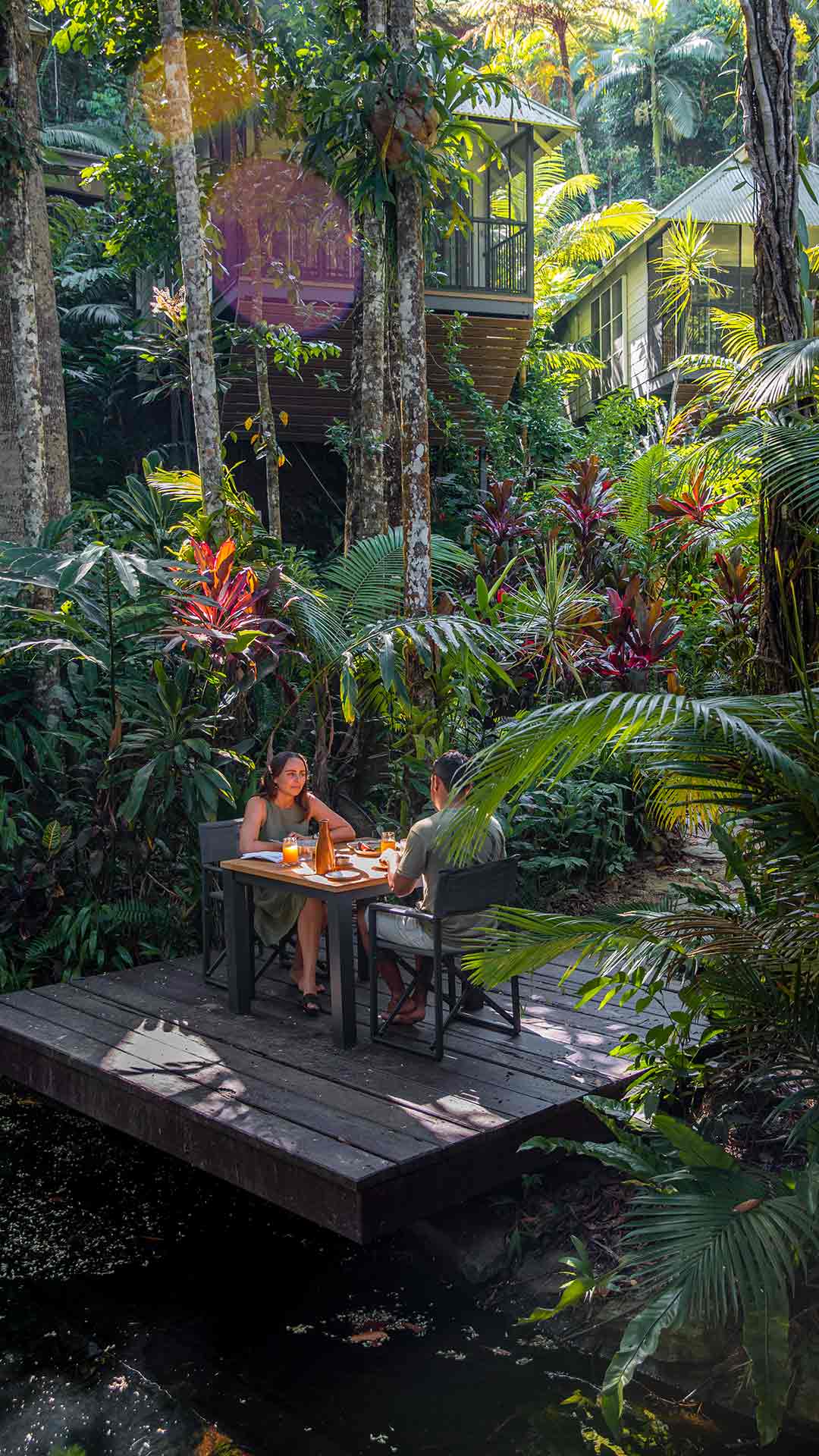 Daintree Ecolodge | Cairns eco accommodation guide Daintree Ecolodge | Cairns eco accommodation guide