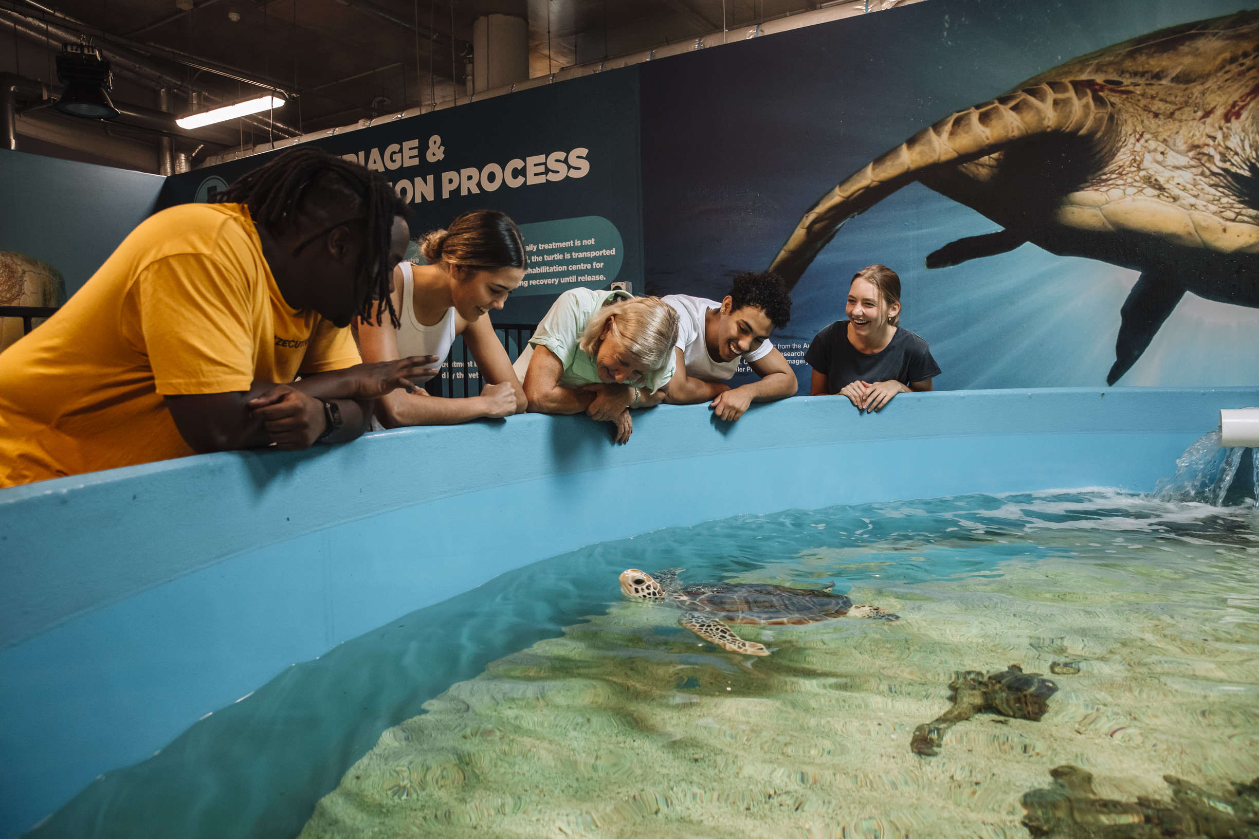 Cairns Aquarium | study tours Queensland