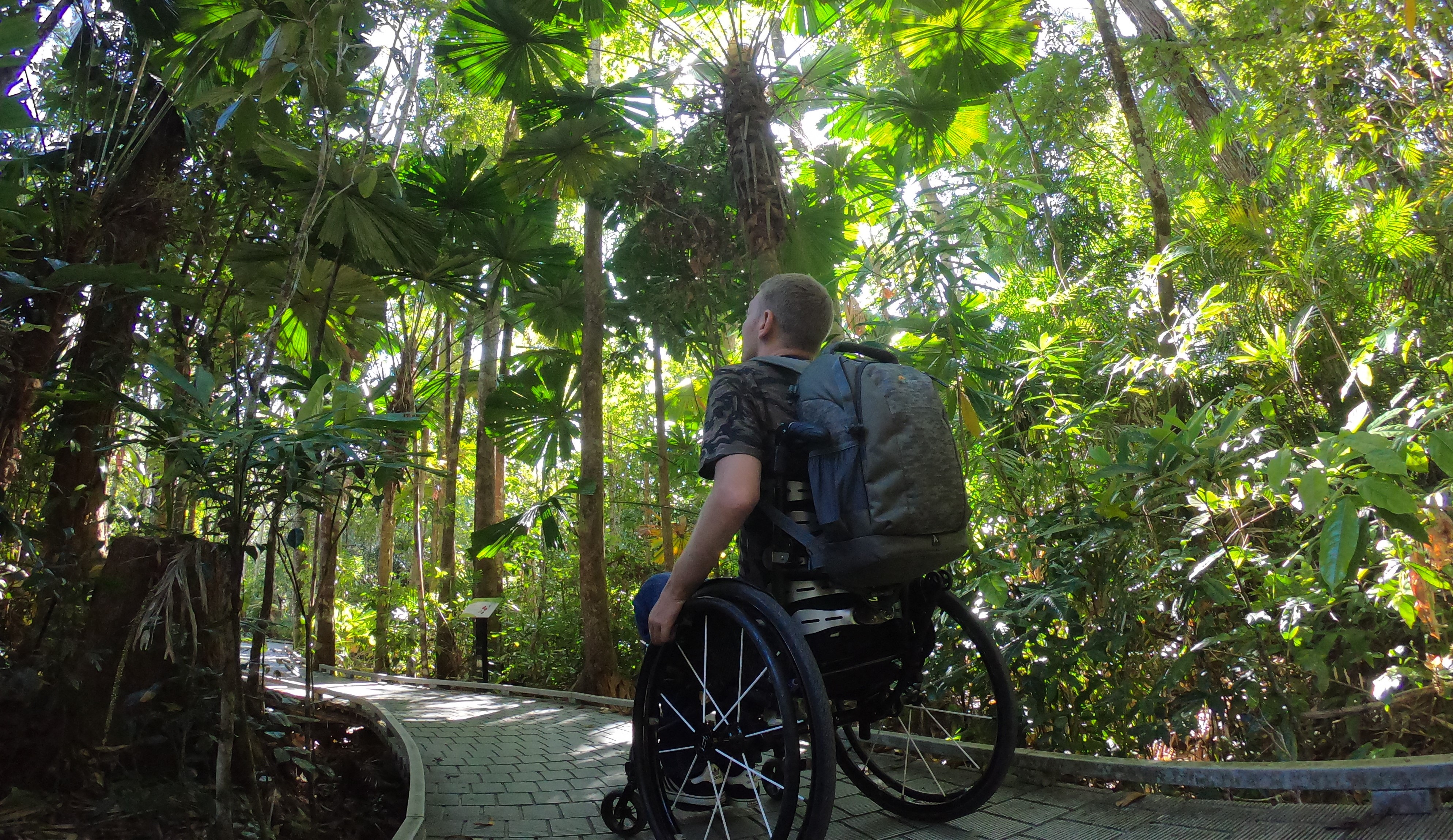 Man on wheelchair exploring national park boardwalks in Daintree Rainforest Man on wheelchair exploring national park boardwalks in Daintree Rainforest