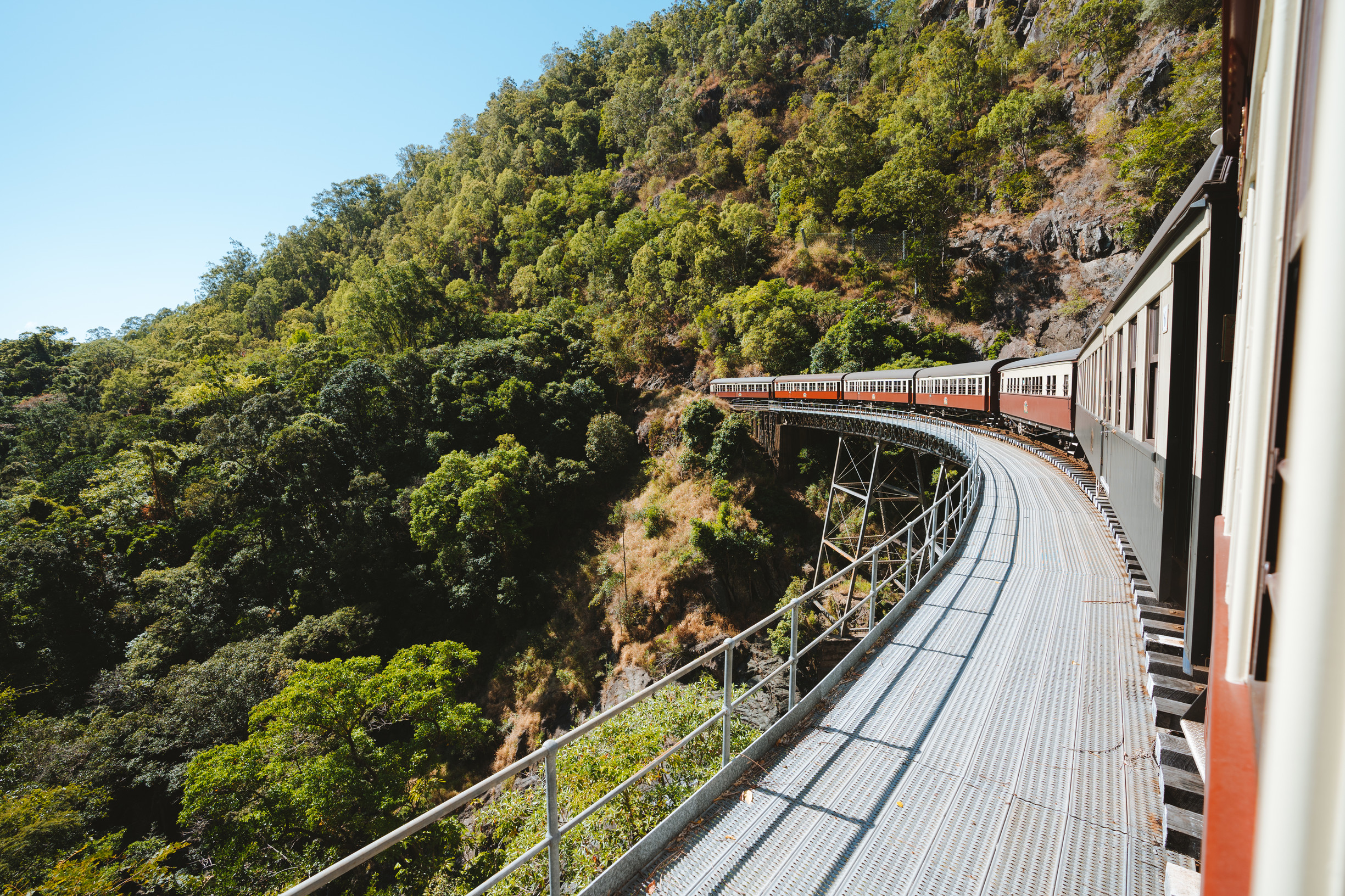 Kuranda Scenic Railway winds around corner travelling through rainforest scenery