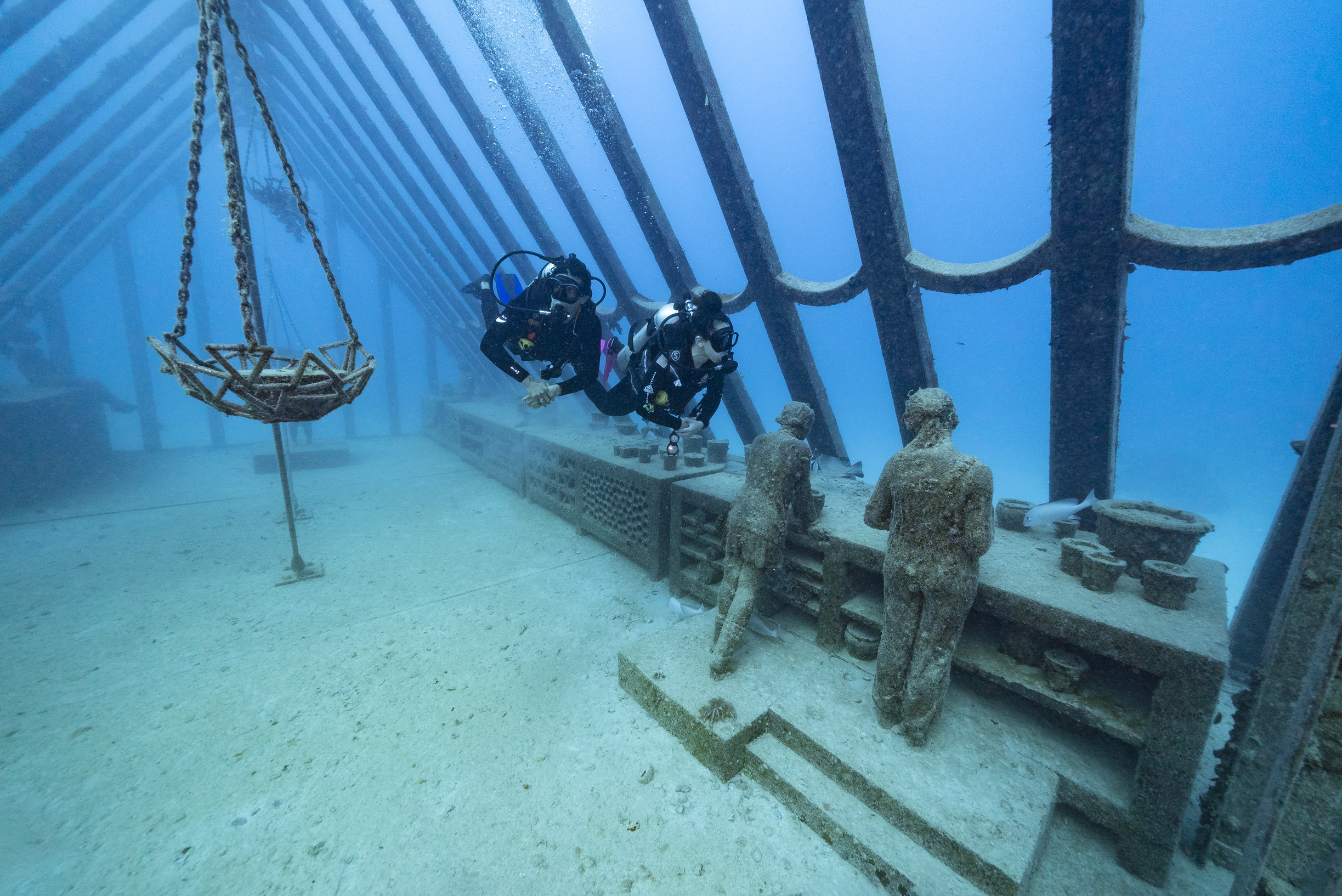 Diving through the Coral Greenhouse, Museum of Underwater Art, Townsville 