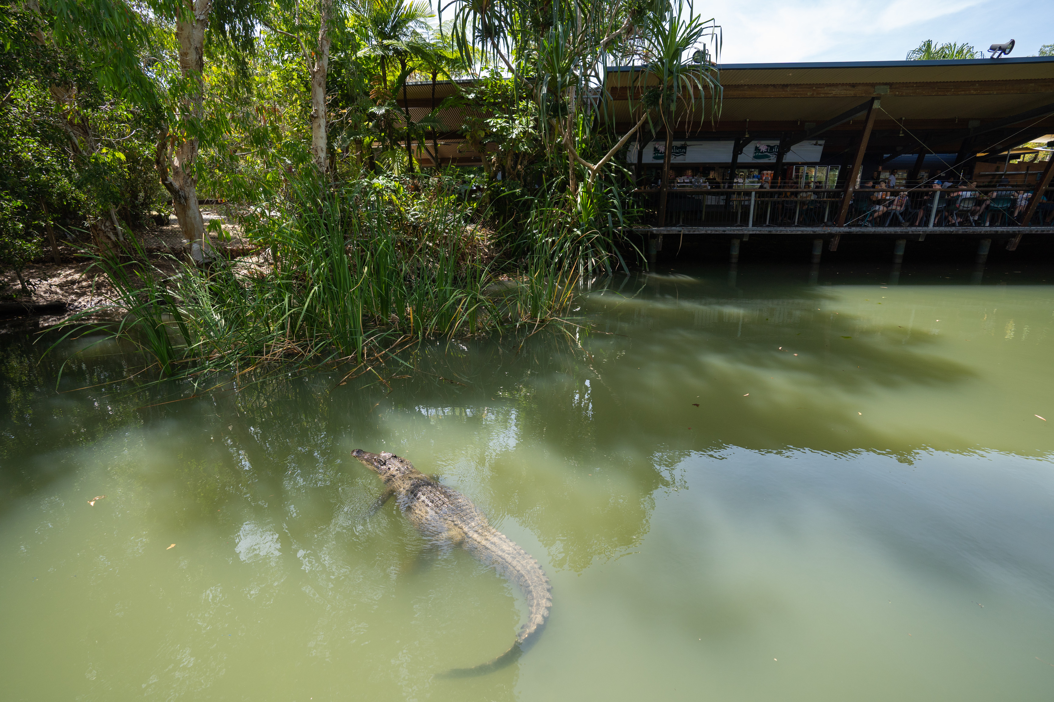 Hartley's Crocodile Adventures | Best zoos and wildlife parks Queensland Hartley's Crocodile Adventures | Best zoos and wildlife parks Queensland