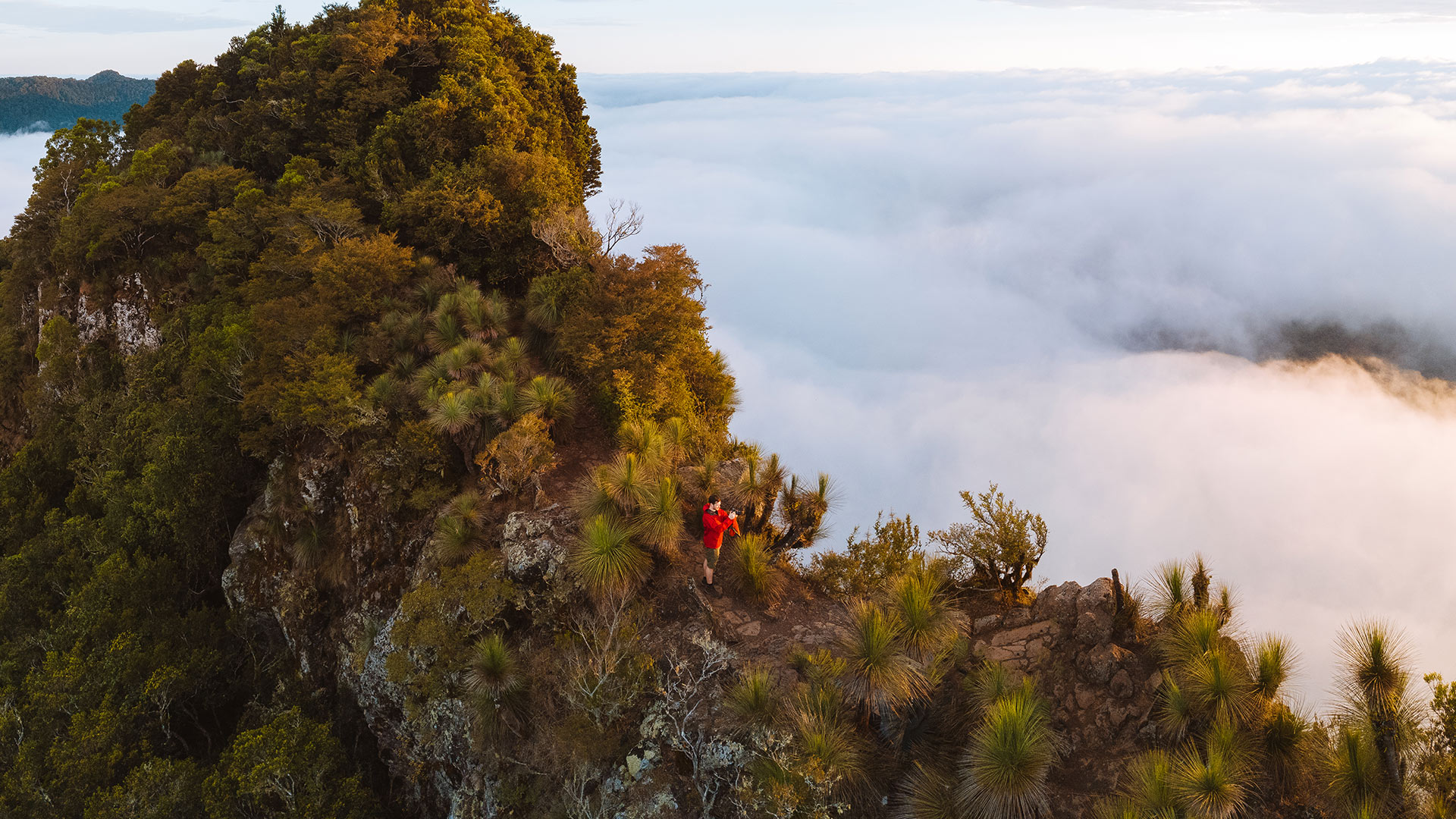 Mount Mitchell hike Queensland | where to propose Queensland Mount Mitchell hike Queensland | where to propose Queensland