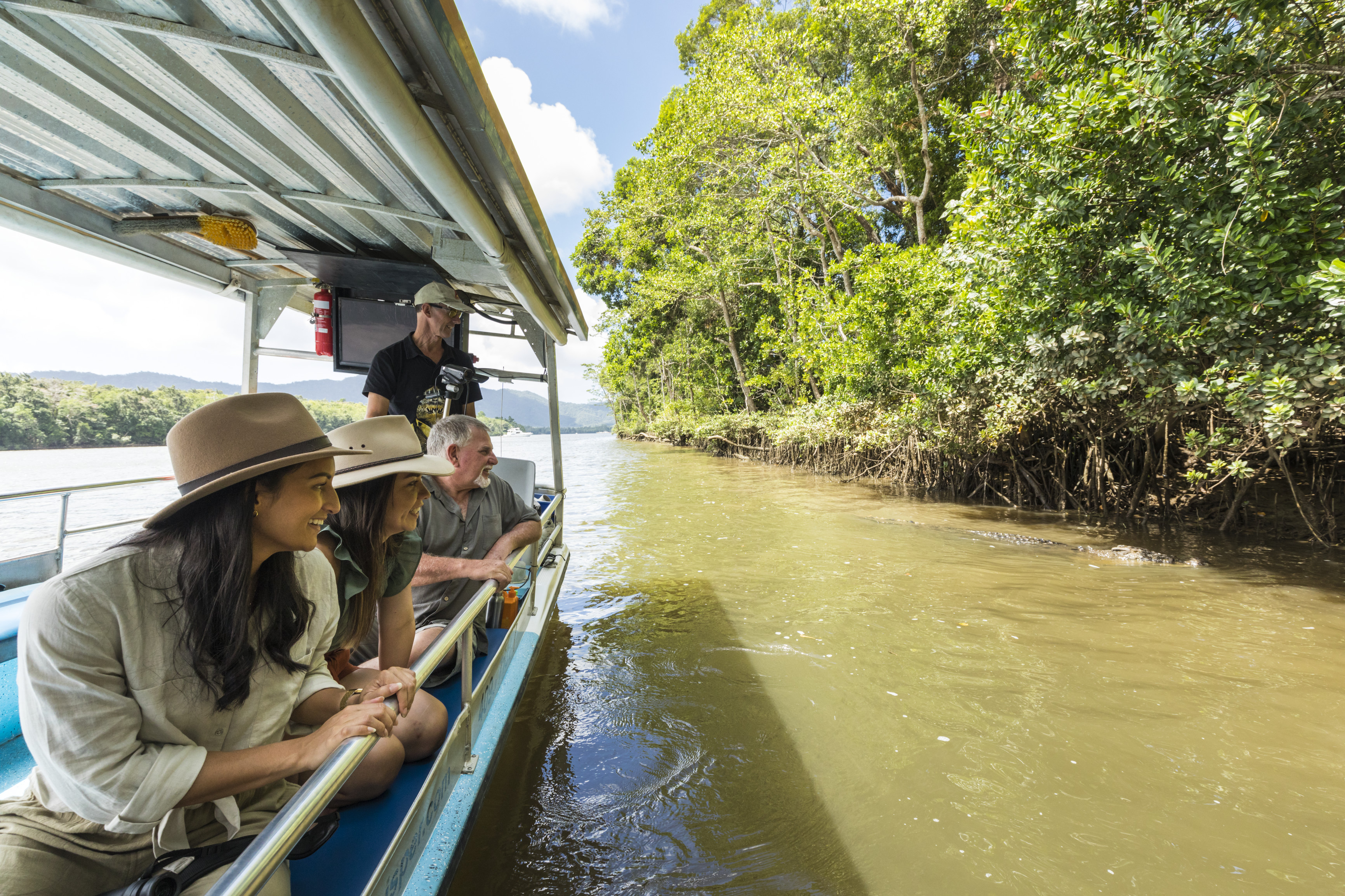 Guests spotting wildlife on a Solar Whisper Wildlife and Crocodile Cruise, on the Daintree River