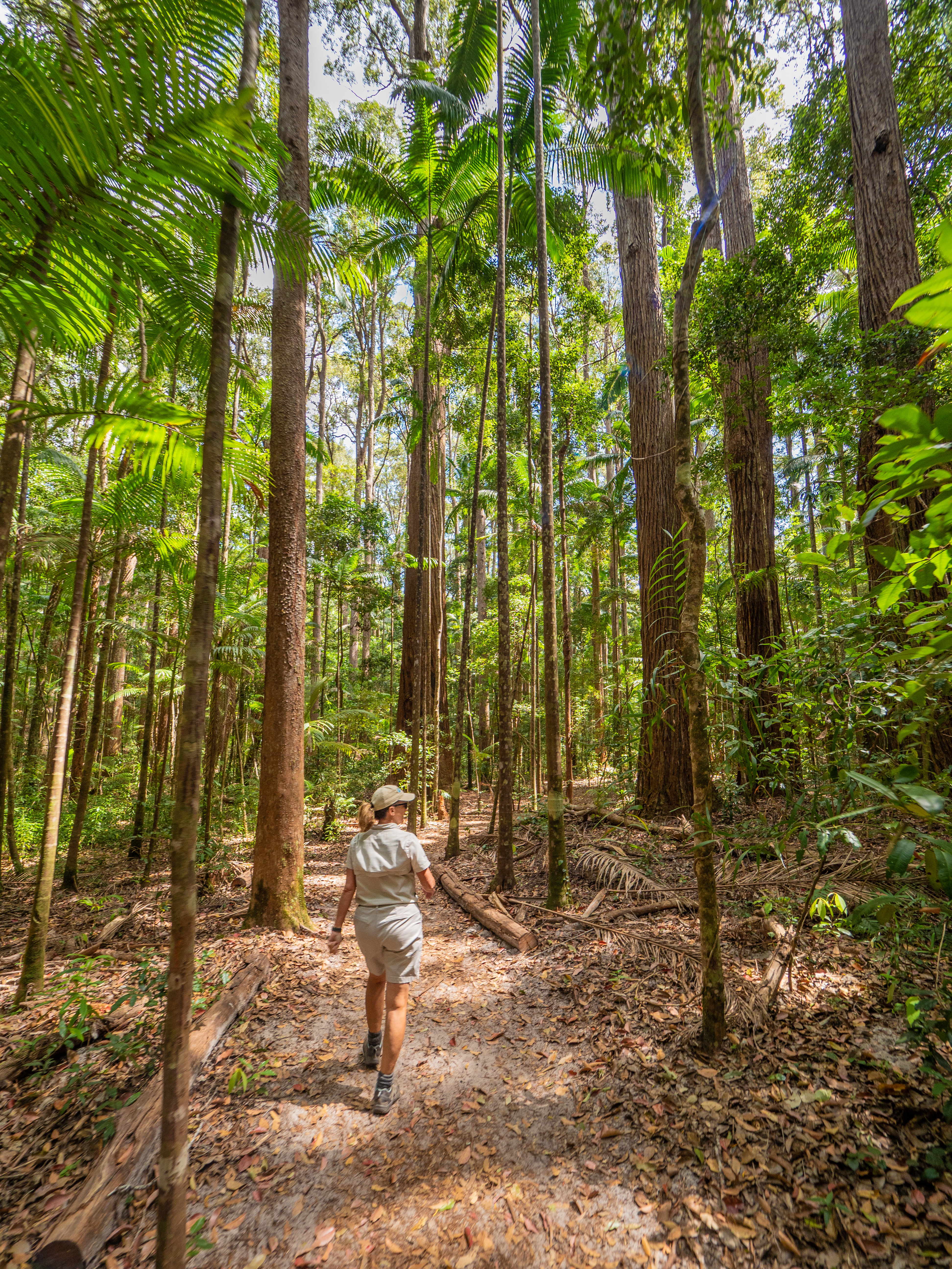 woman walks through forest on K'gari
