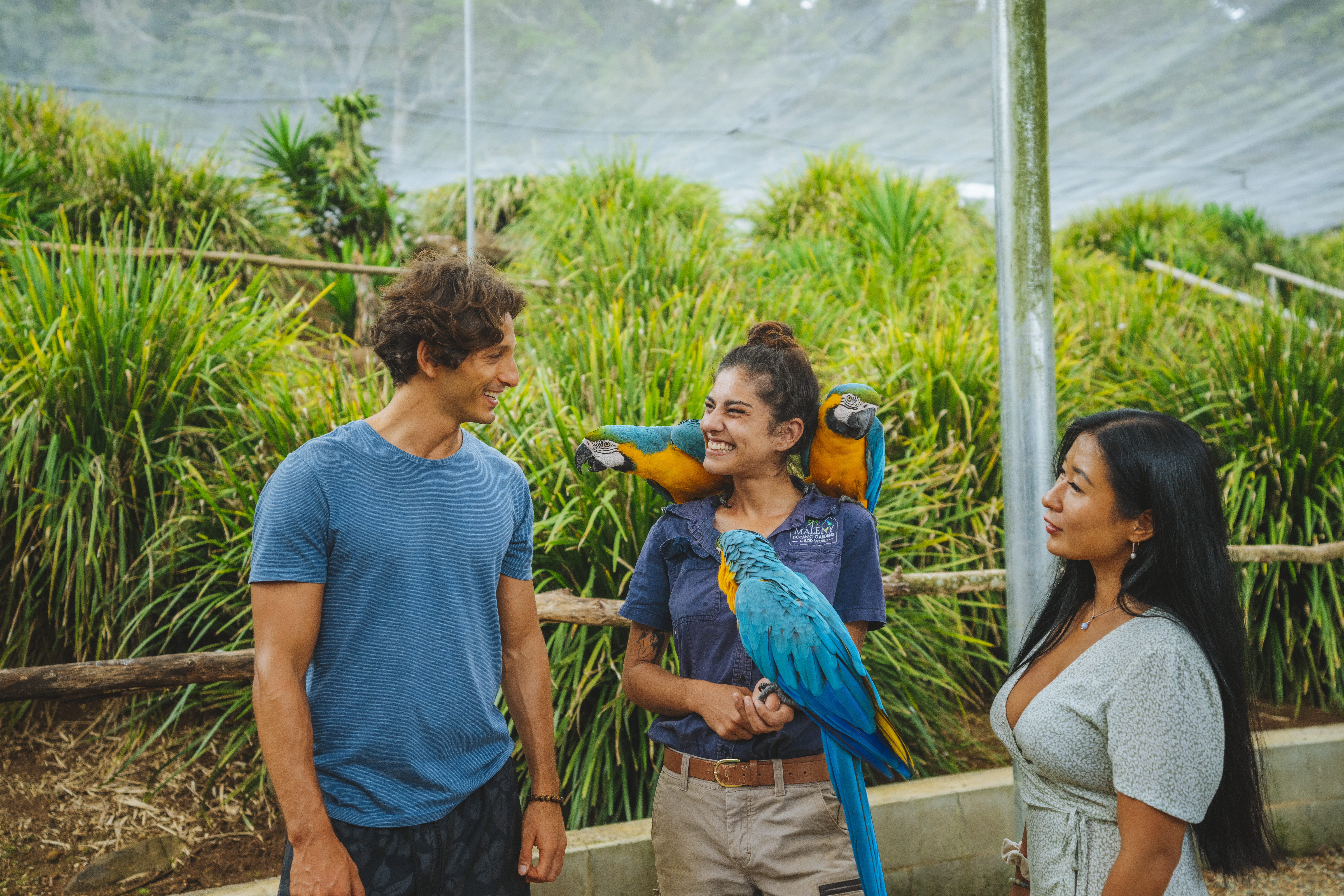 A tour guide is surrounded by birds at Maleny Botanic Gardens, watched by visitors