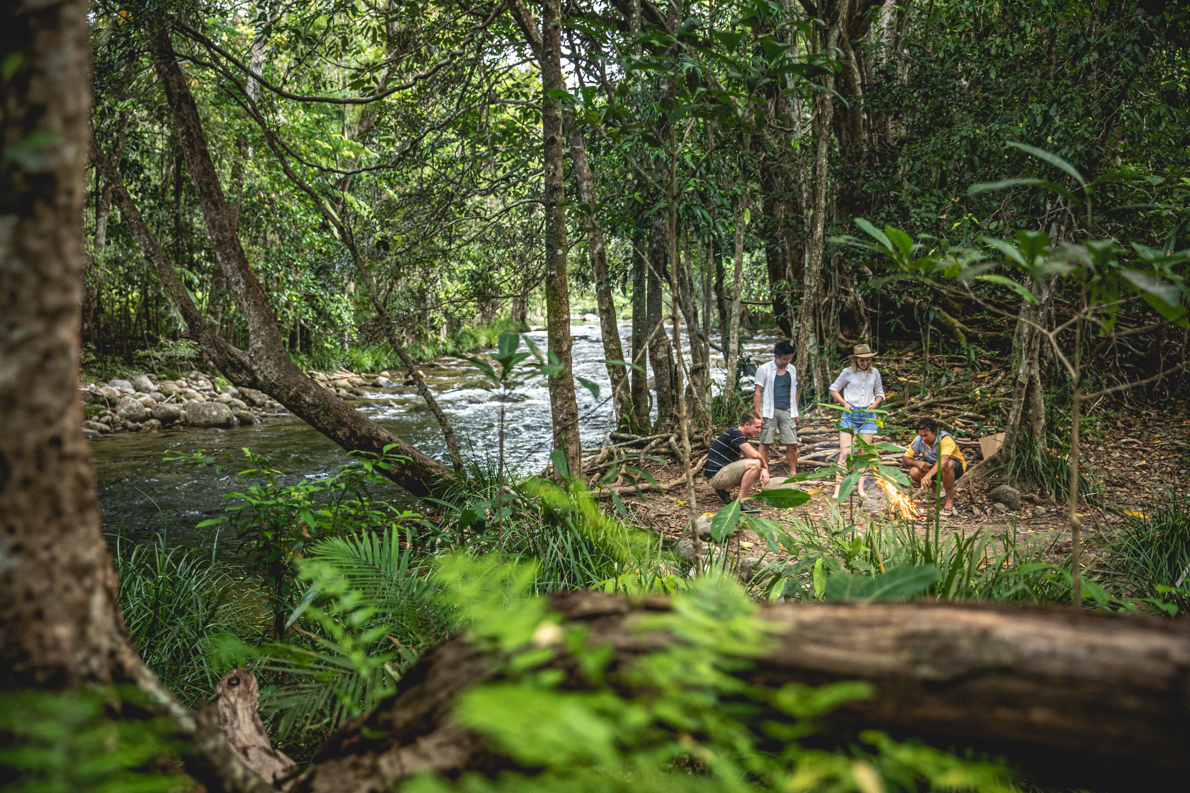 Cooking bush tucker with Walkabout Cultural Adventures | Solo road trip Cairns Great Barrier Reef Cooking bush tucker with Walkabout Cultural Adventures | Solo road trip Cairns Great Barrier Reef